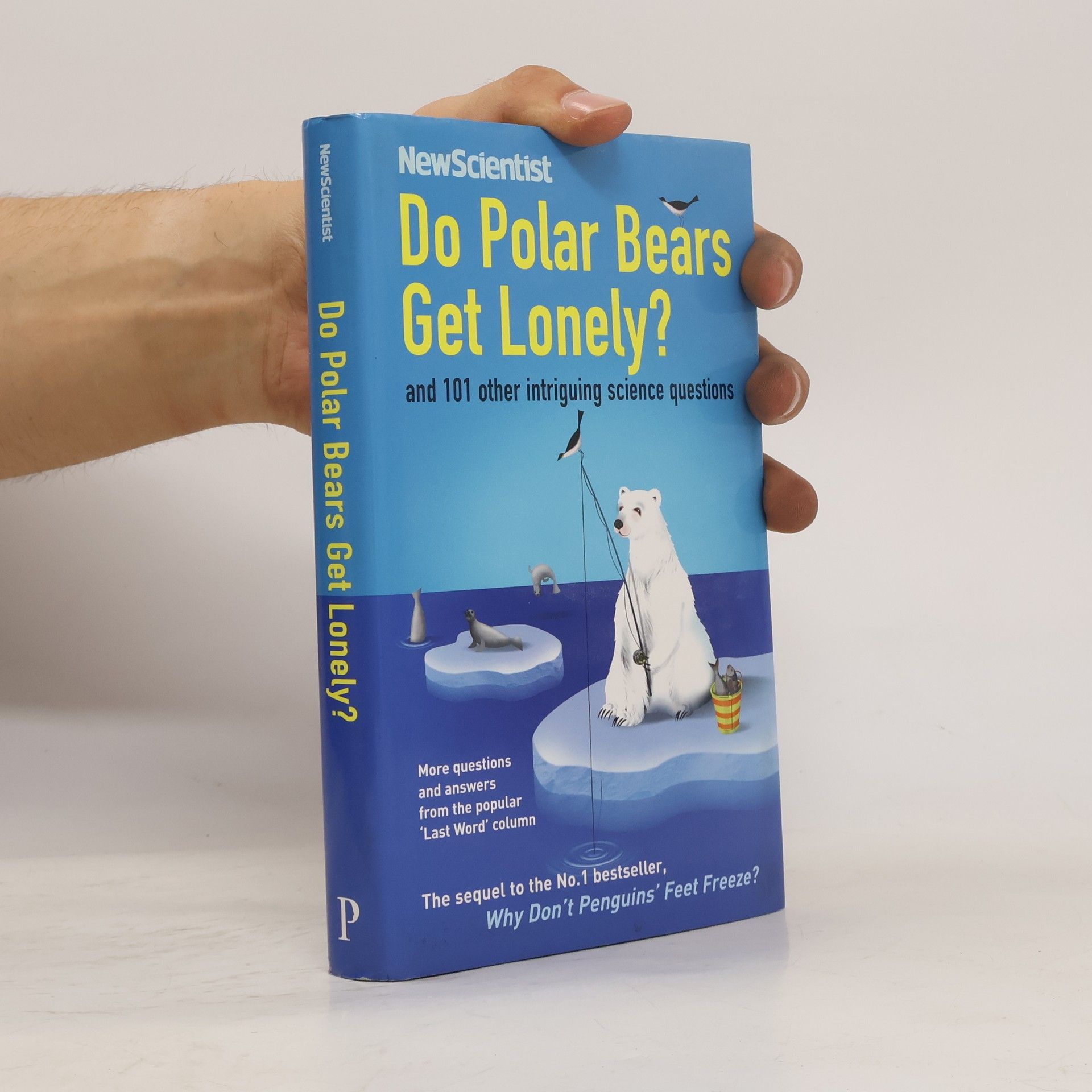 kolektiv Do Polar Bears Get Lonely?
