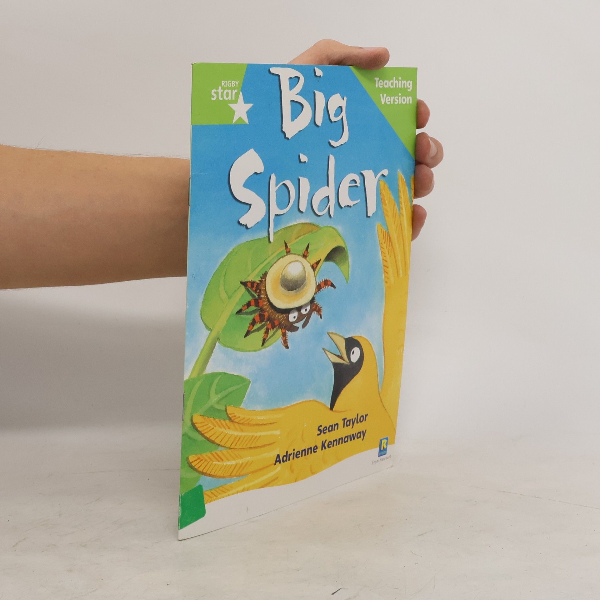 kolektiv Rigby Star Phonic Guided Reading Green Level: Big Spider Teaching Version