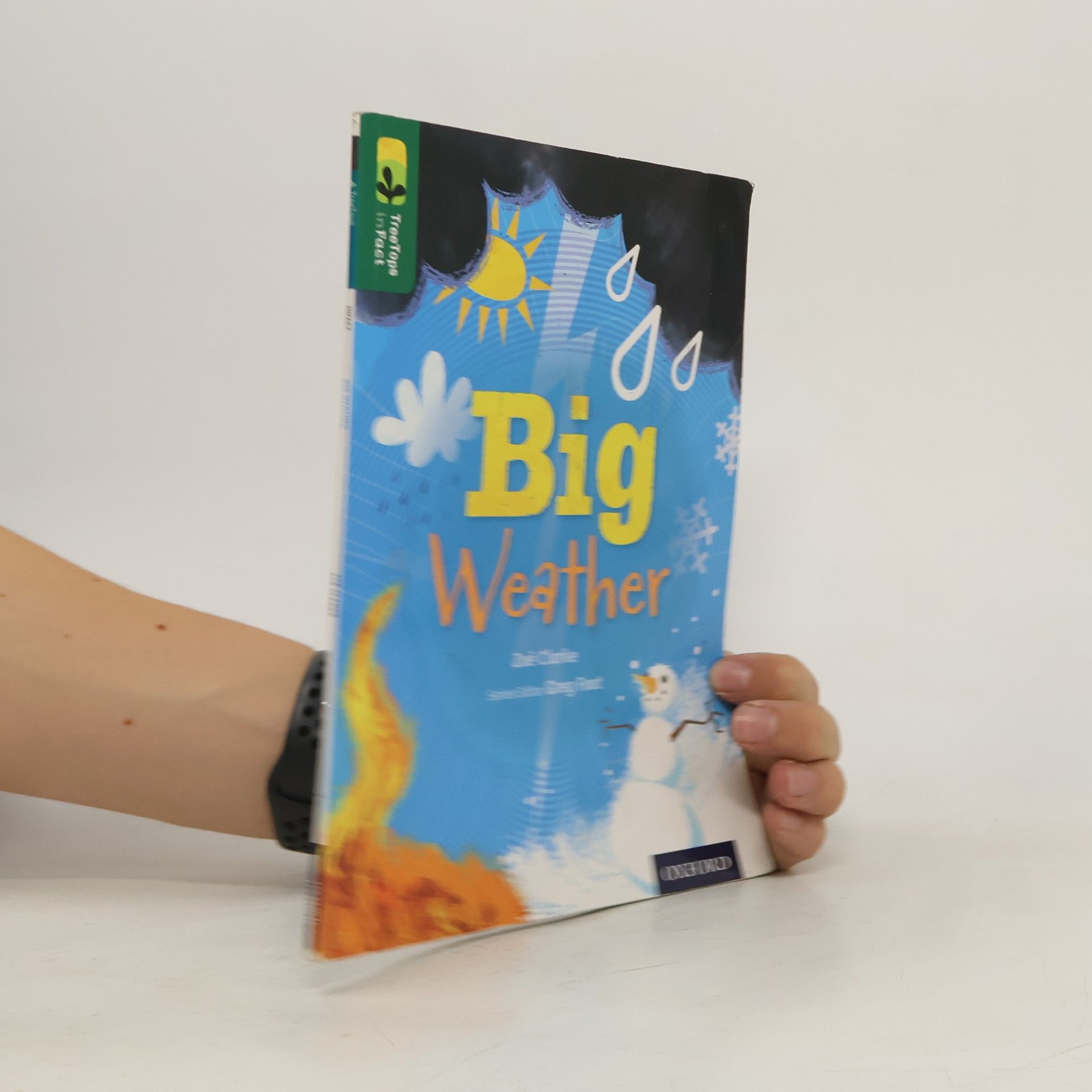 Zoe Clarke Oxford Reading Tree TreeTops inFact: Level 12: Big Weather