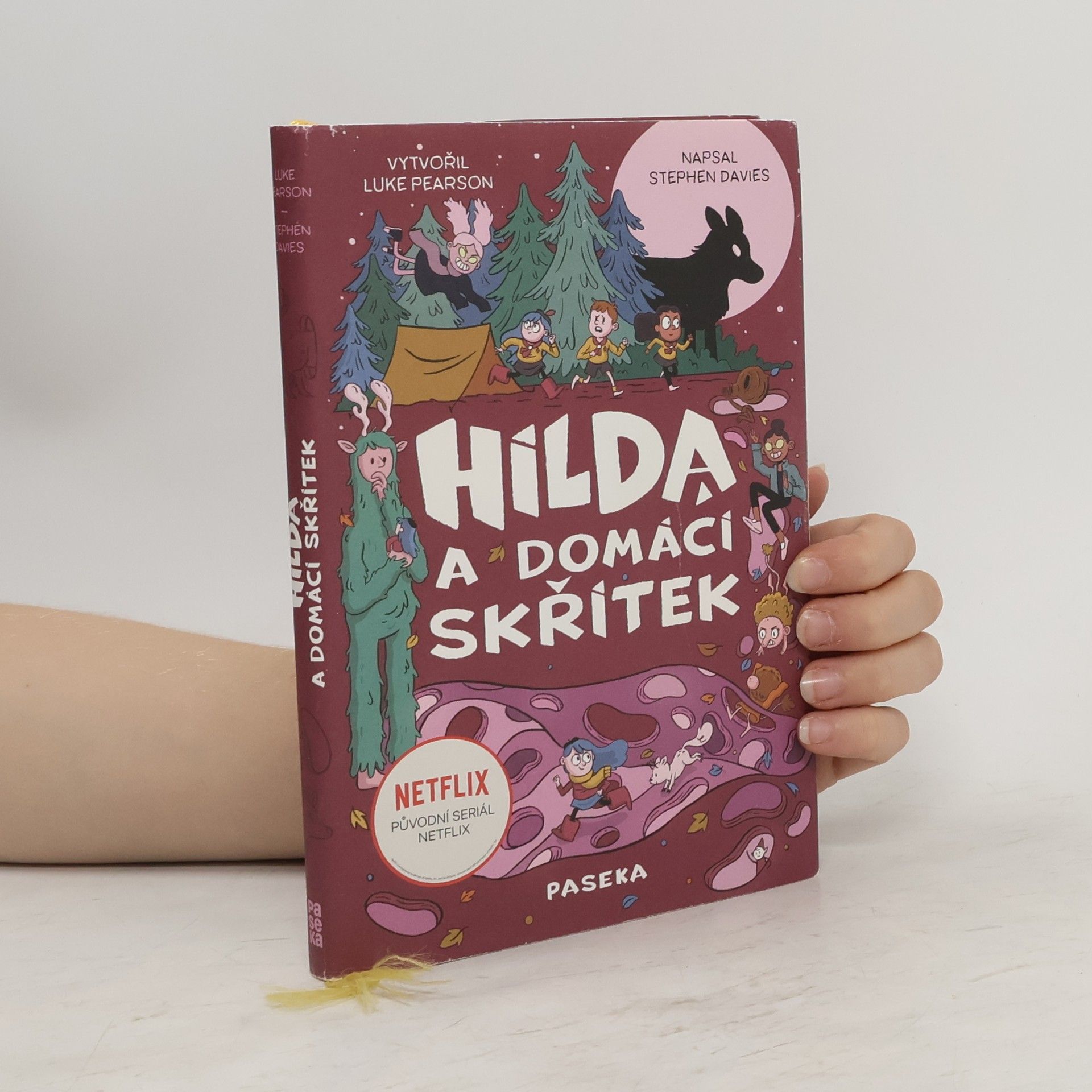 Stephen Davies Hilda a domácí skřítek