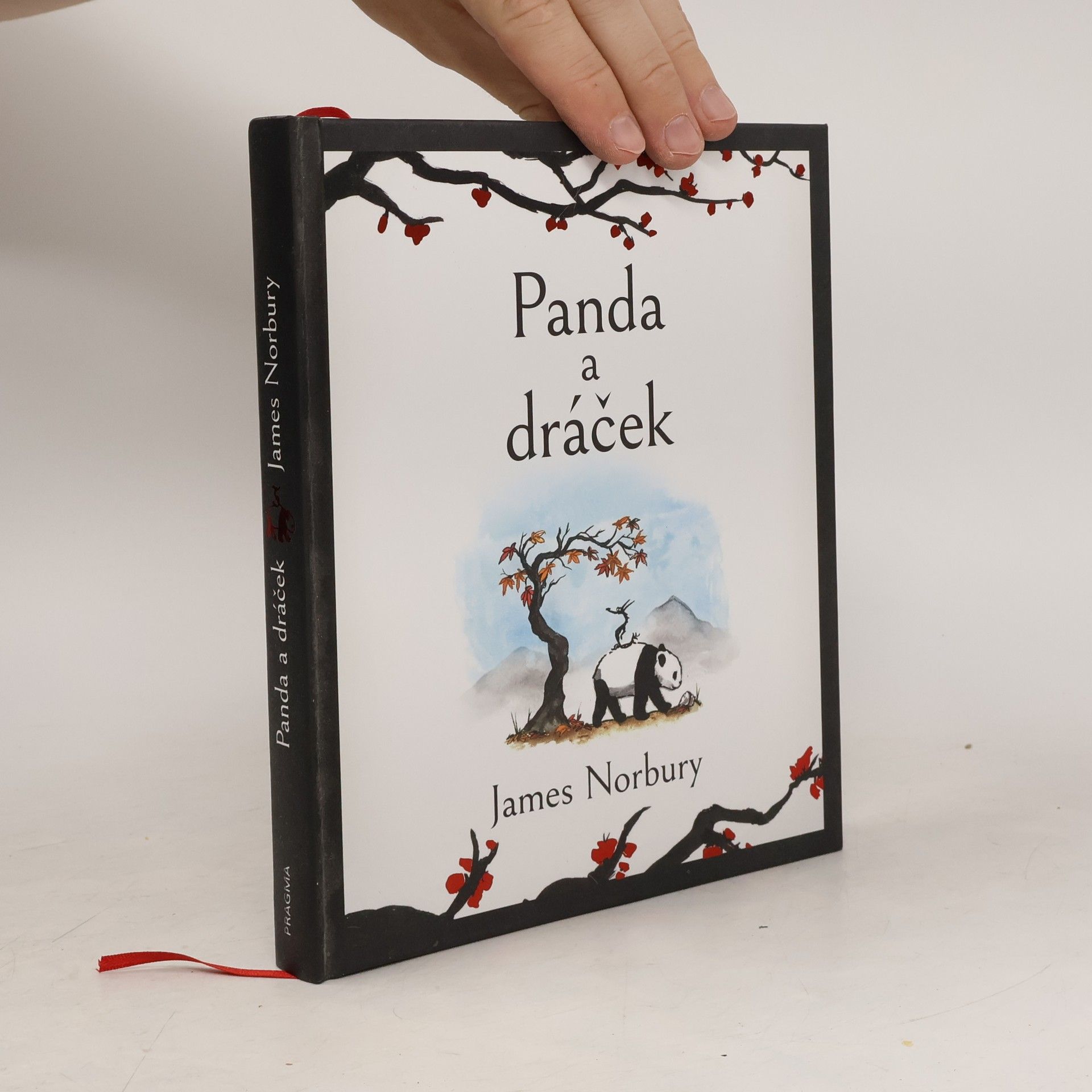 James Norbury Panda a dráček