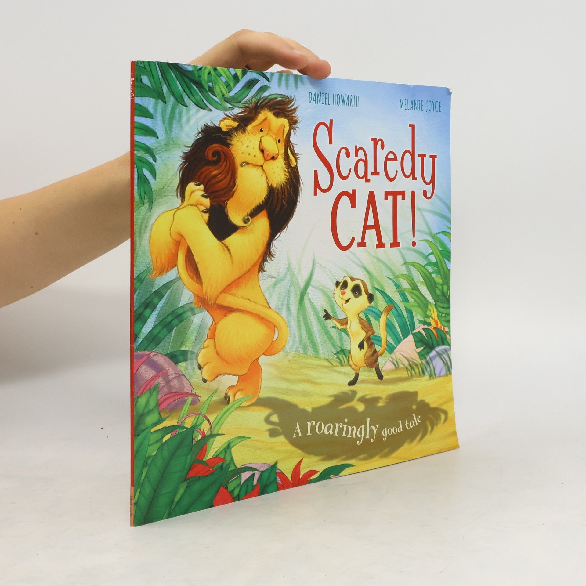 Bonnier Books Ltd Scaredy Cat