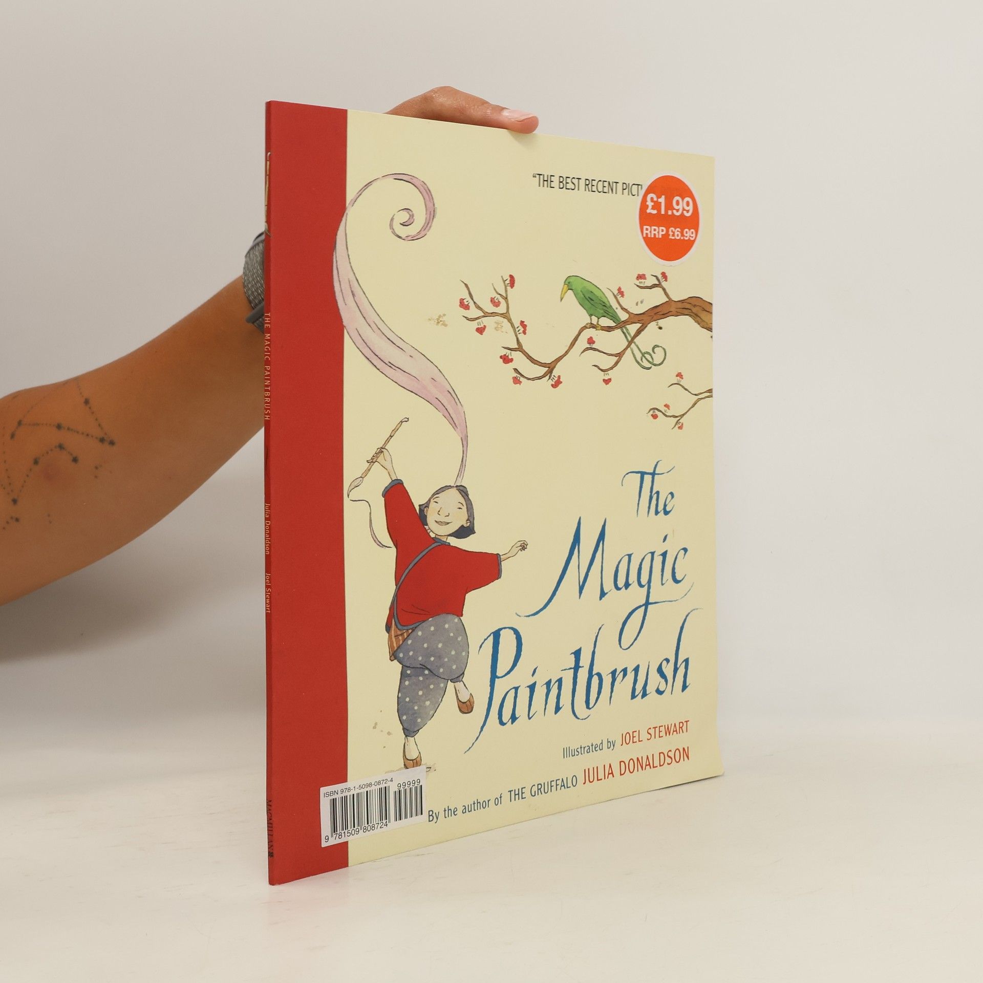 Julia Donaldson The Magic Paintbrush