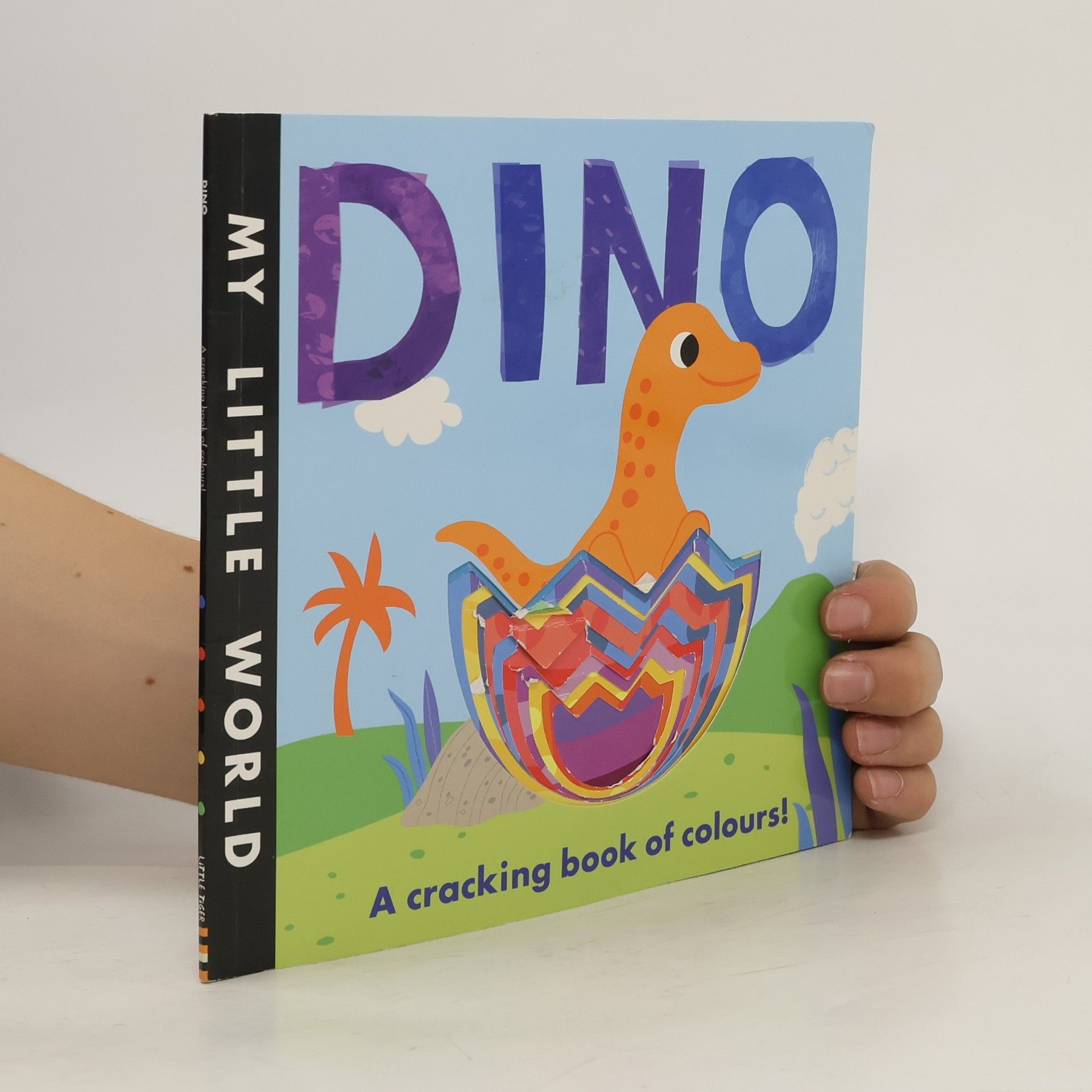 Collectif d'auteurs My Little World