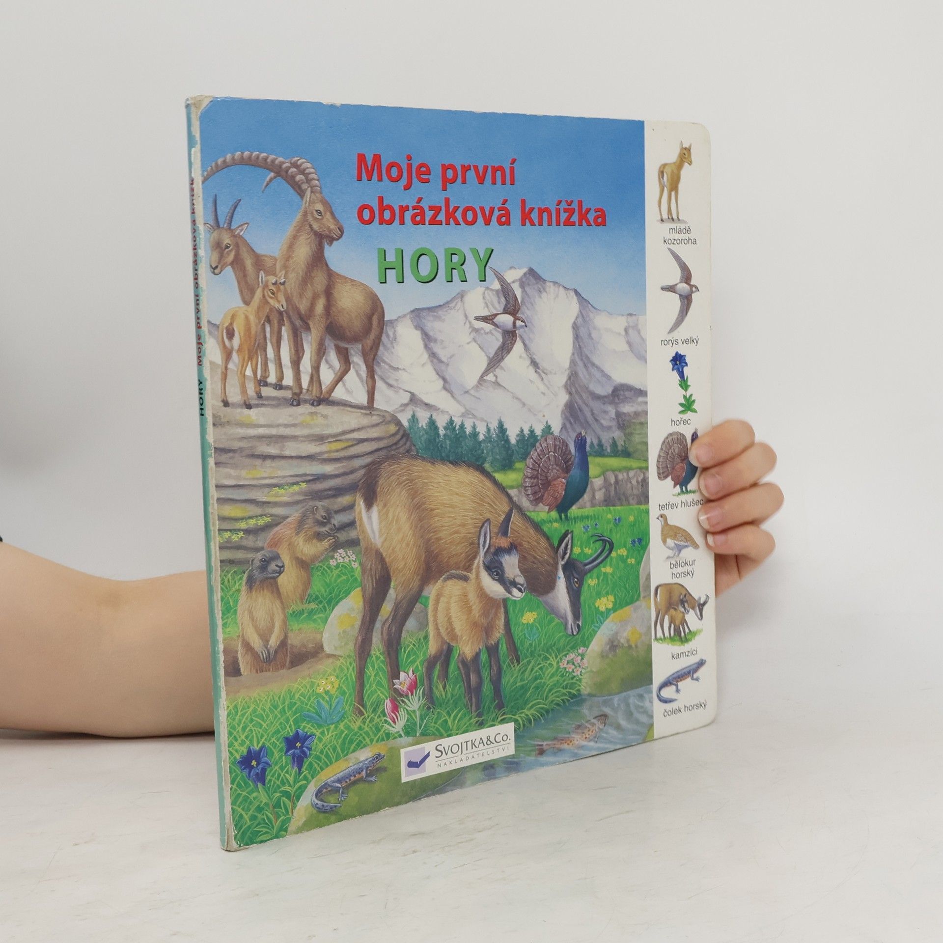 kolektiv  Hory - Moja první obrázková knižka
