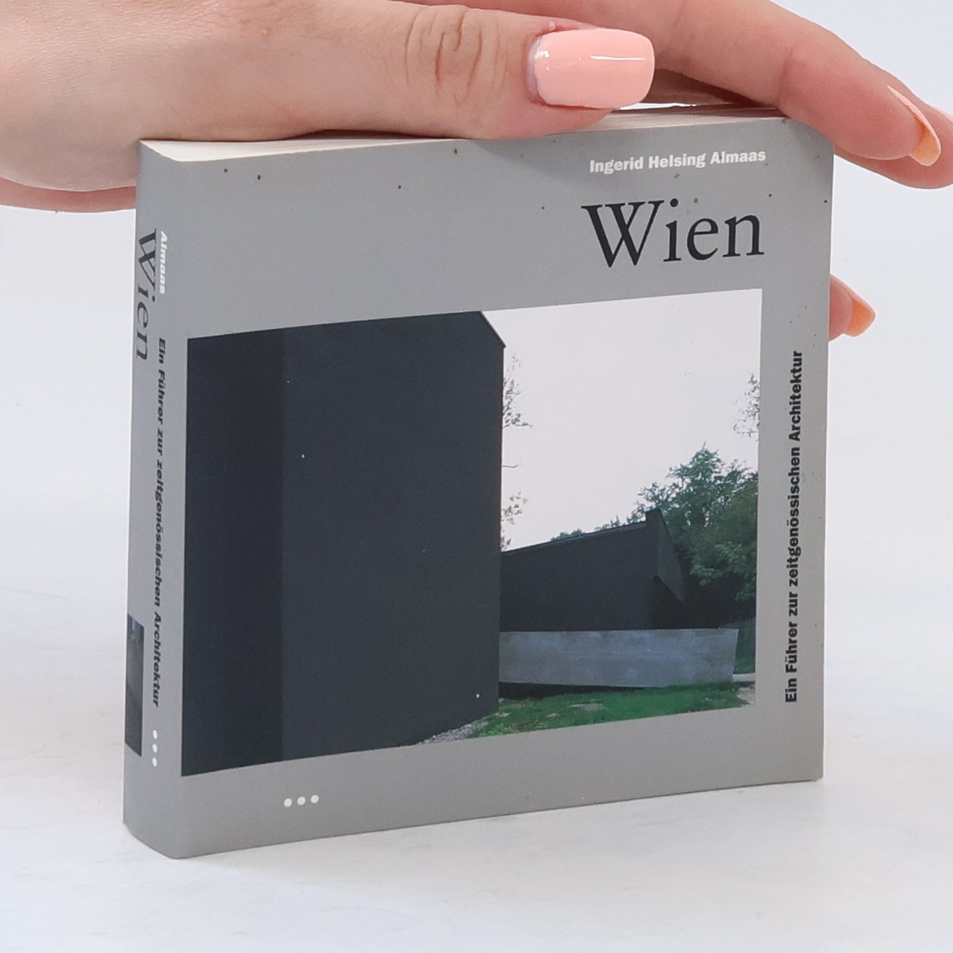 Ingerid Helsing Almaas Wien : ein Führer zur zeitgenössischen Architektur