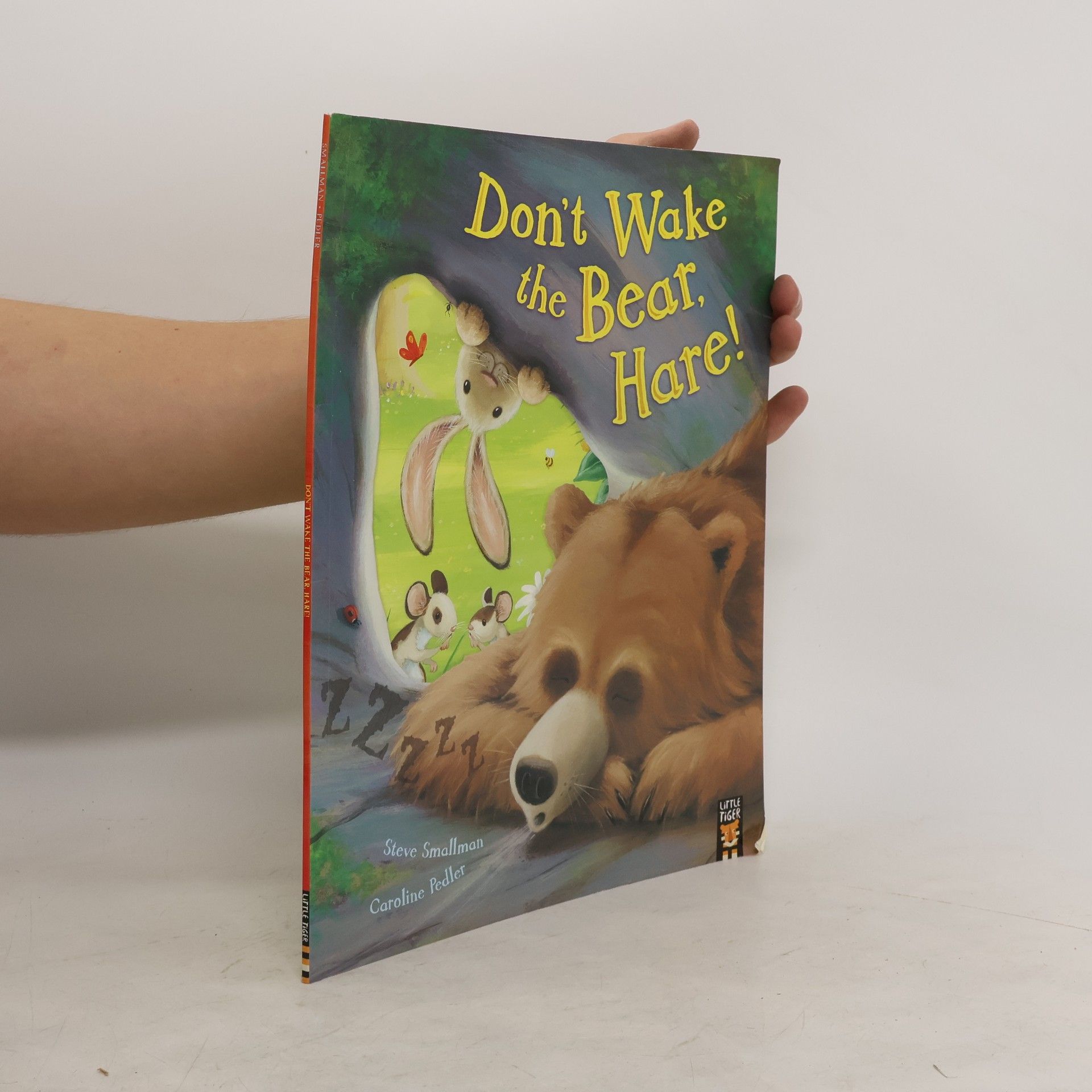 Steve Smallman Don't Wake the Bear, Hare!