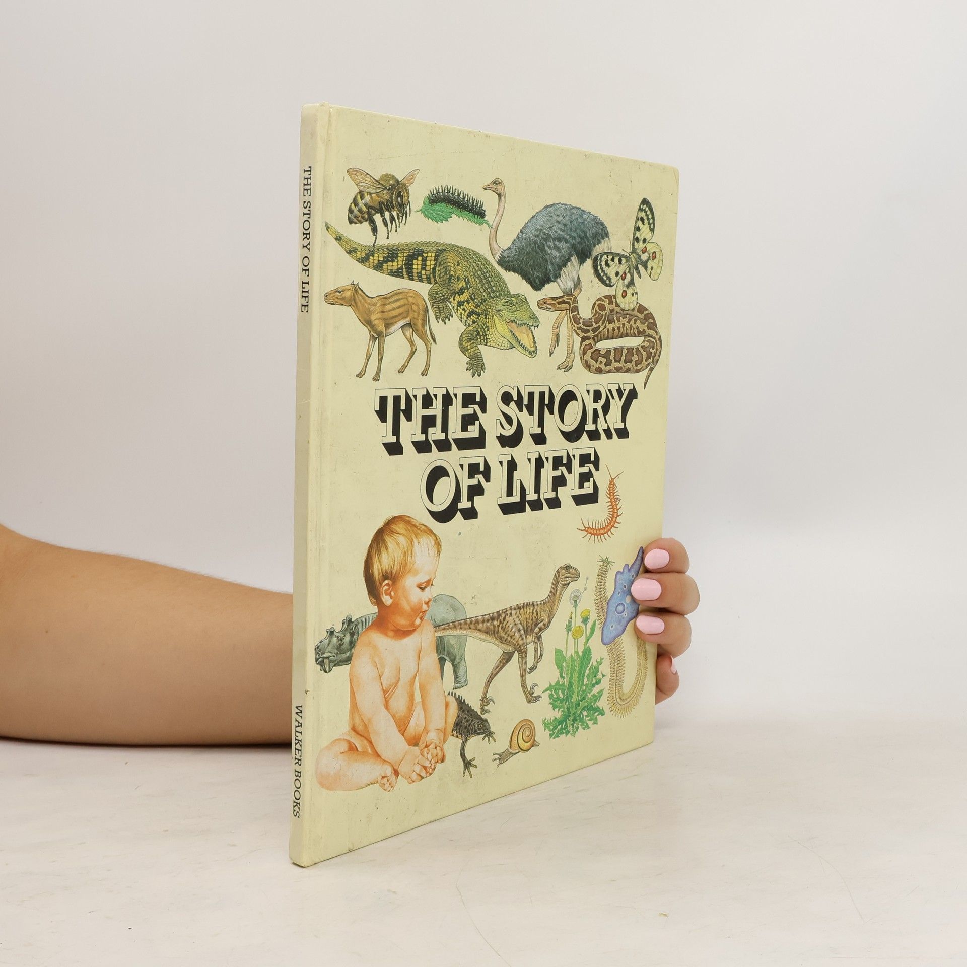 Cuillin Bantock The Story of Life
