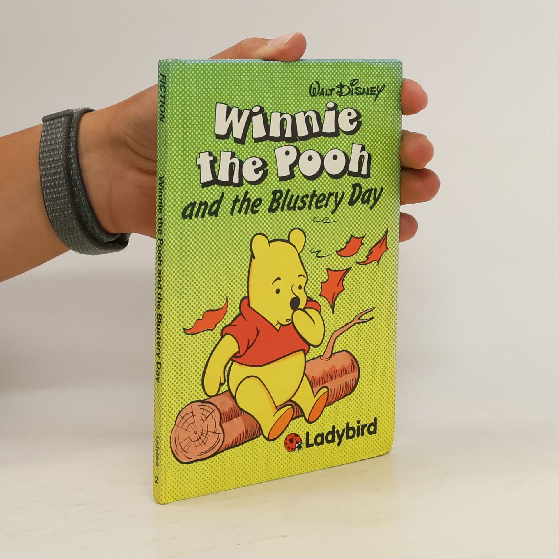 Walt Disney Winnie the Pooh and the Blustery Day
