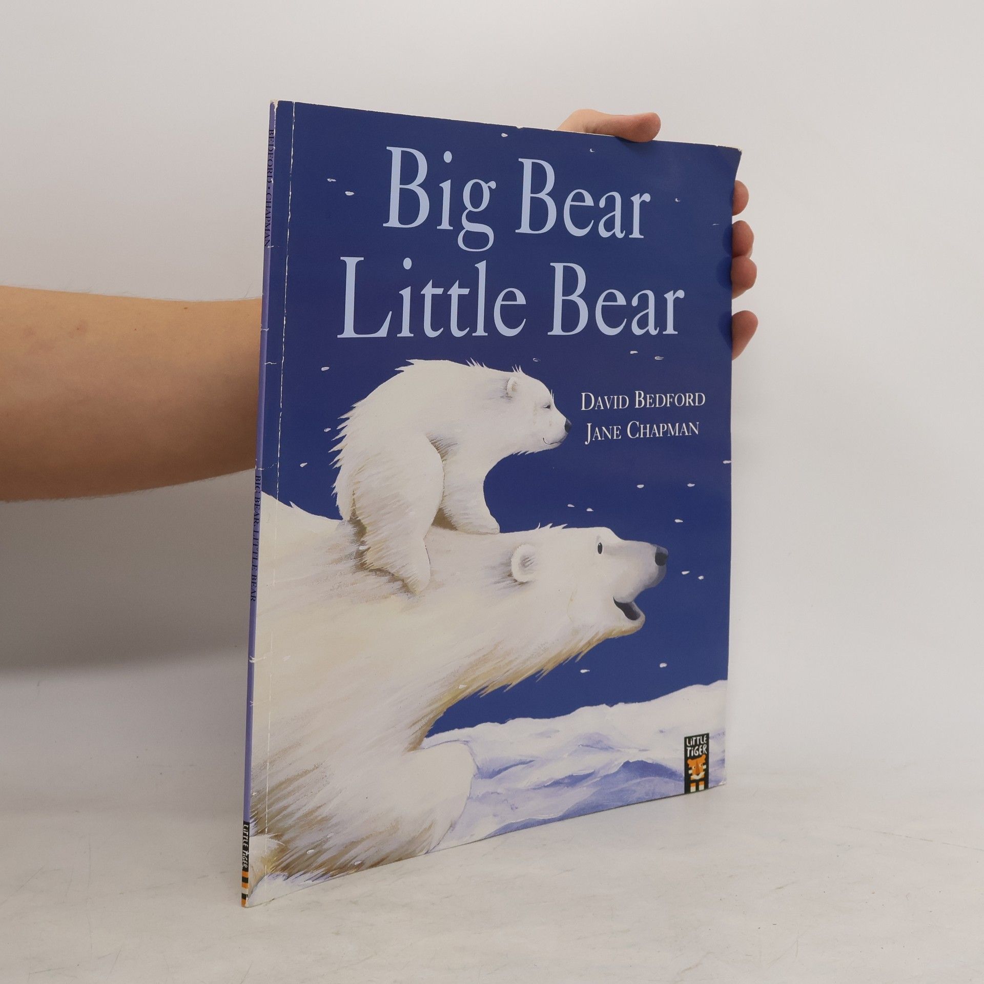 David Bedford Big Bear Little Bear