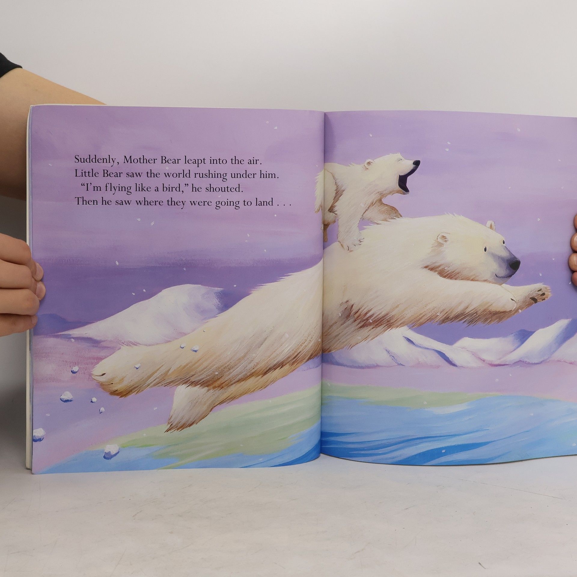 David Bedford Big Bear Little Bear