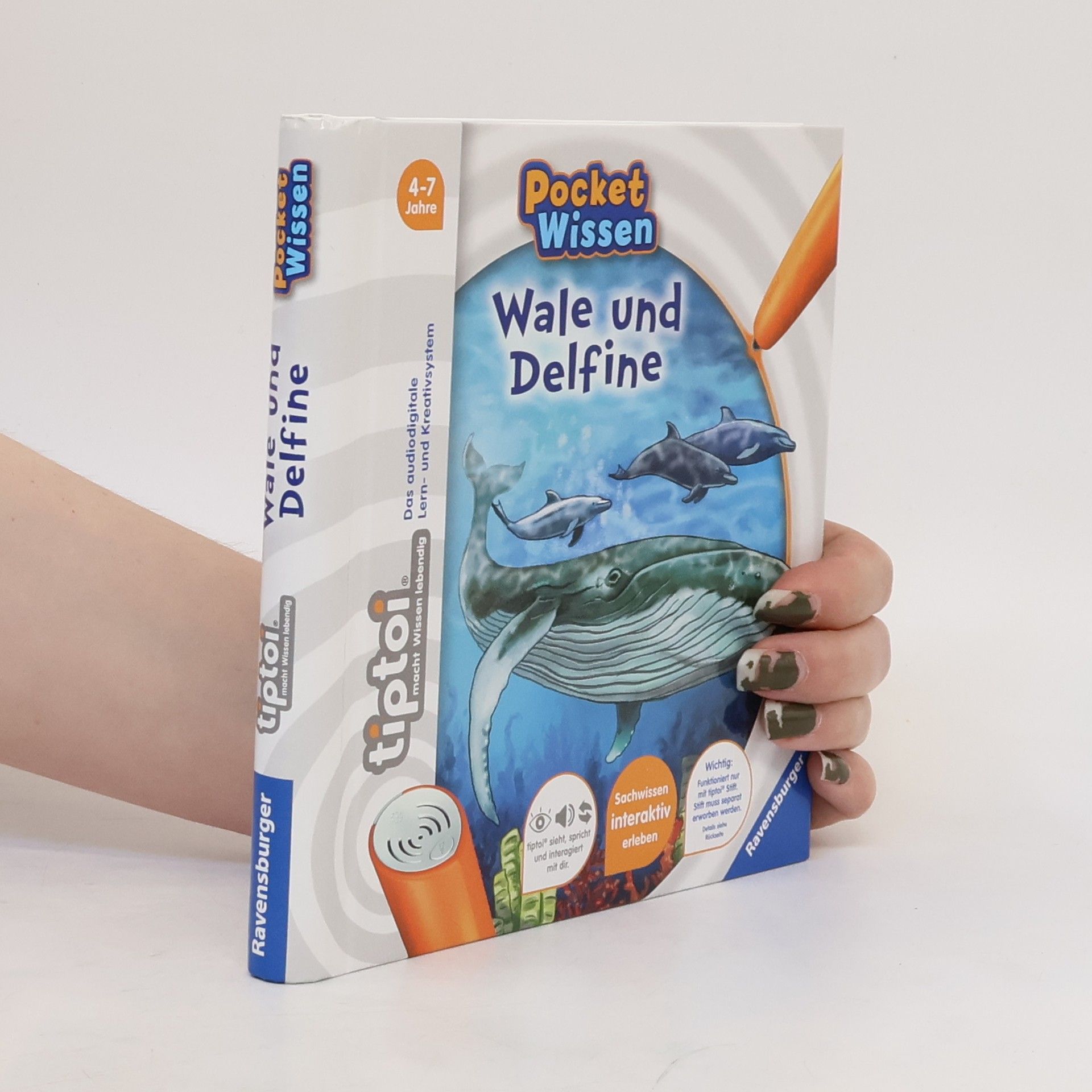 Autorenkollektiv Wale und Delfine