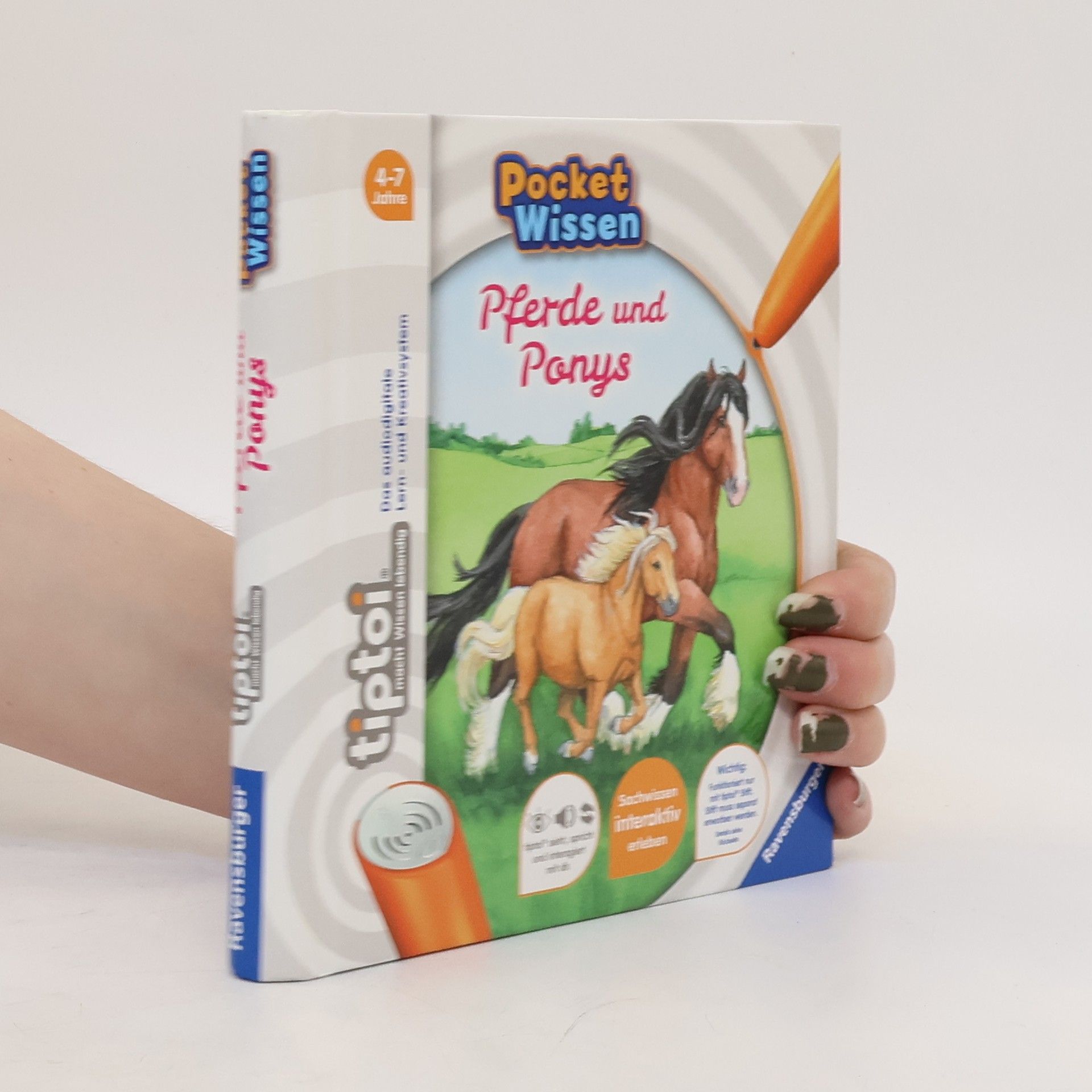 Yvonne Follert Pferde und Ponys