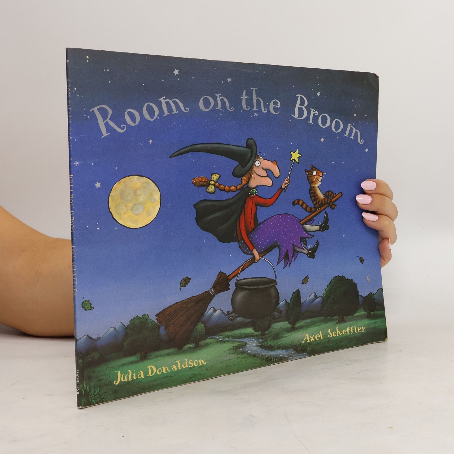 Julia Donaldson Room on the Broom