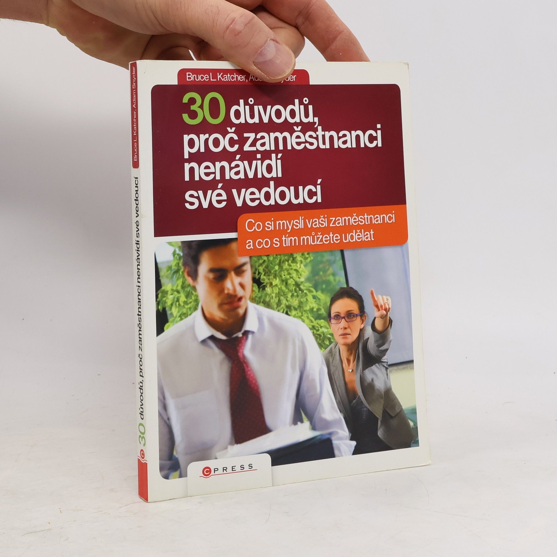 Bruce Leslie Katcher 30 důvodů, proč zaměstnanci nenávidí své vedoucí