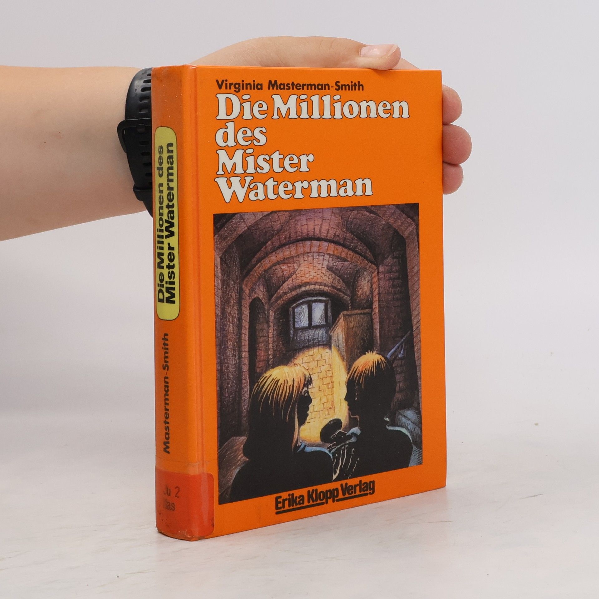 Virginia Masterman-Smith Die Millionen des Mister Waterman