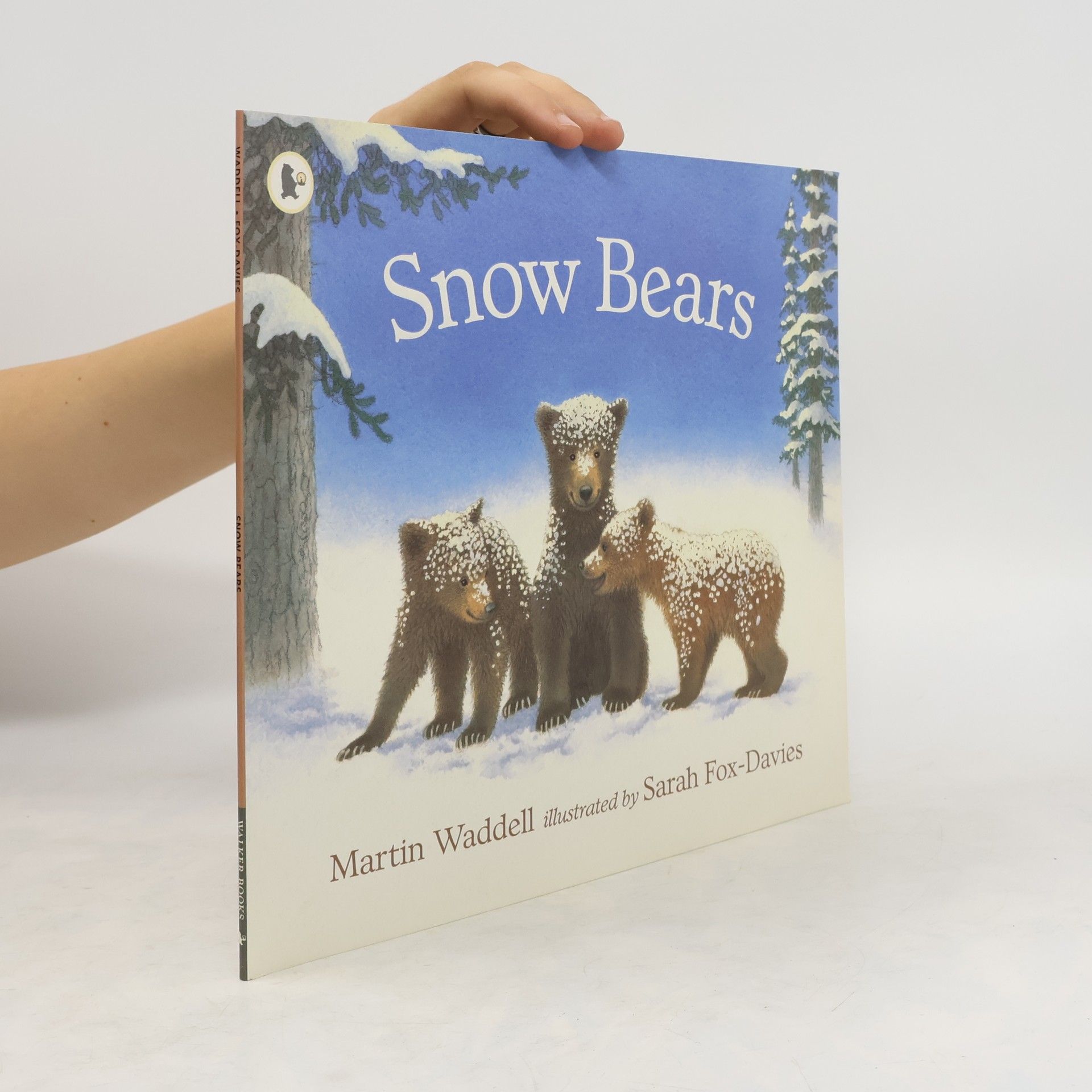 Martin Waddell Snow Bears