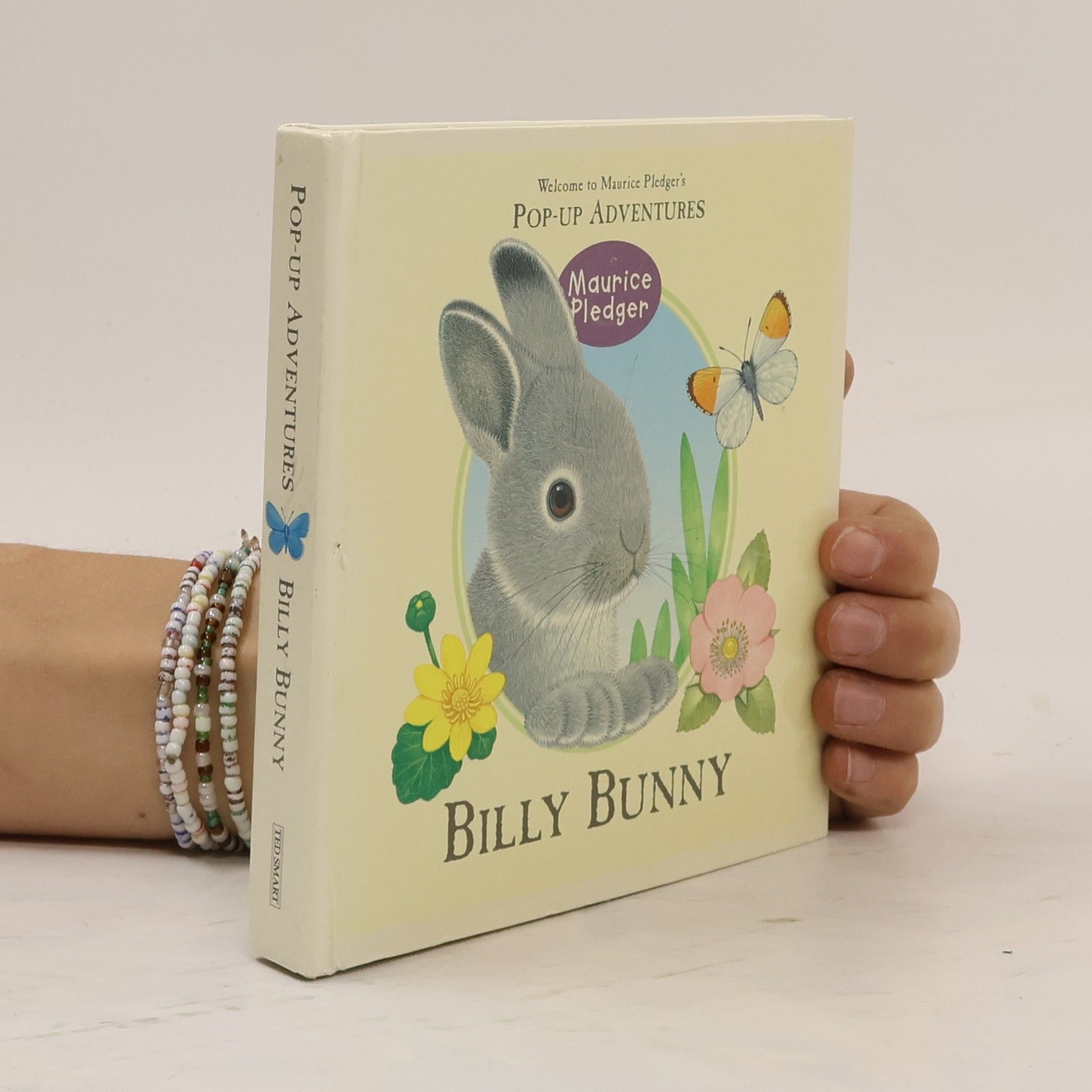 Maurice Pledger Billy Bunny