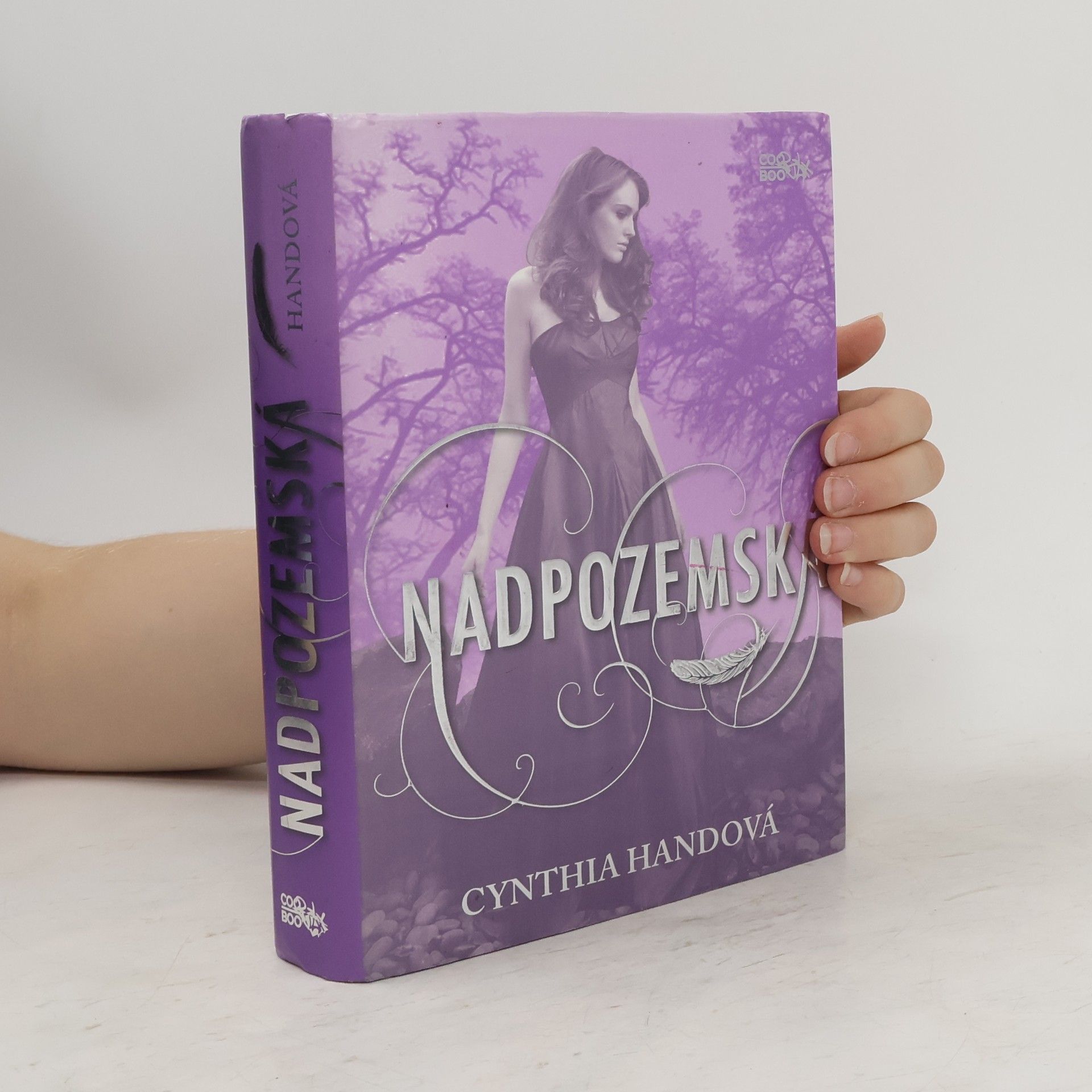Cynthia Hand Nadpozemská. První díl