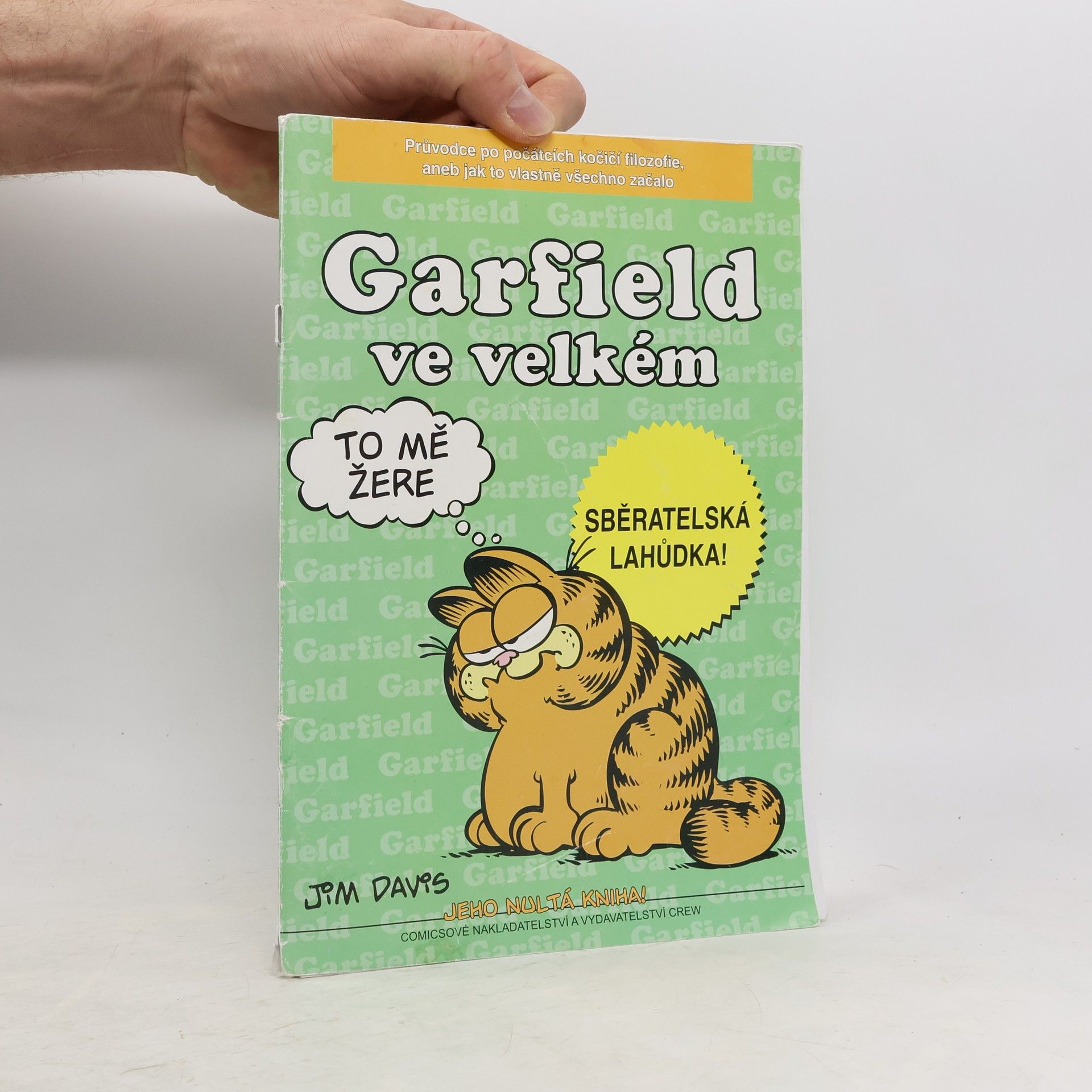 Jim Davis Garfield ve velkém