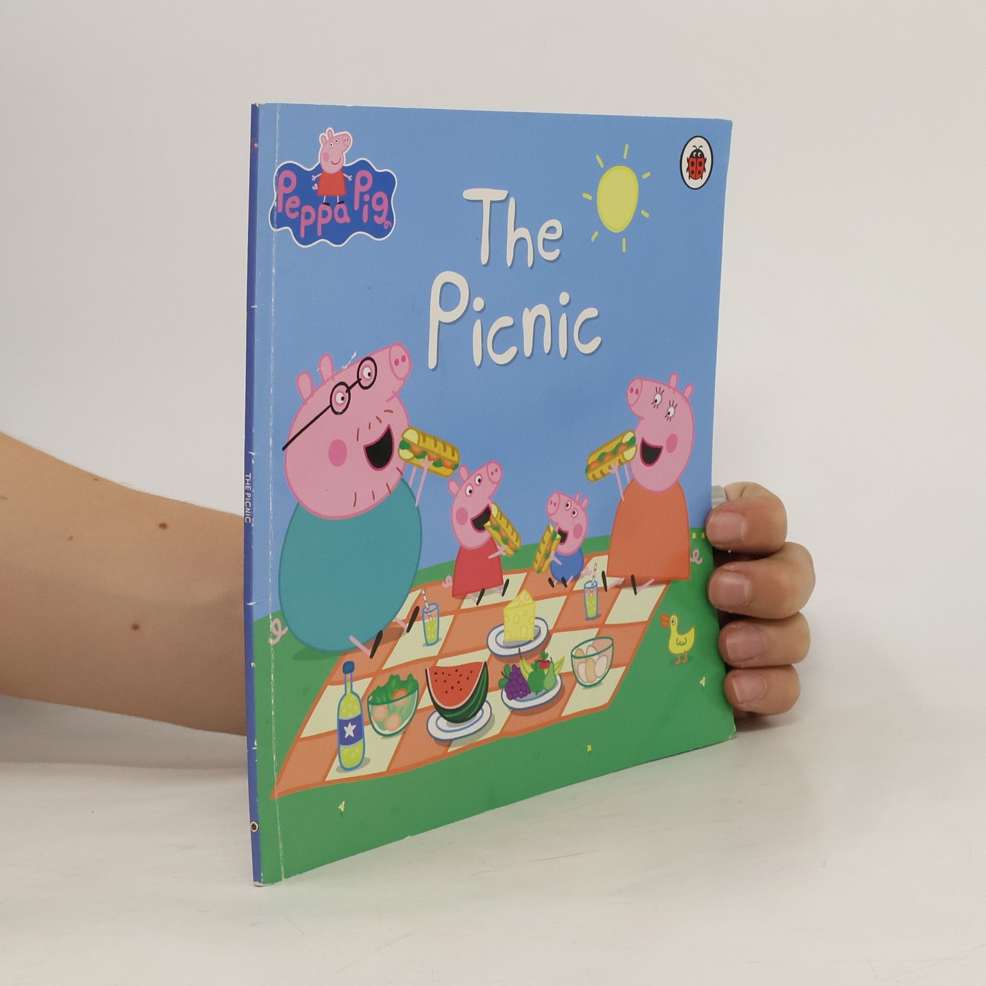 Collective The Picnic