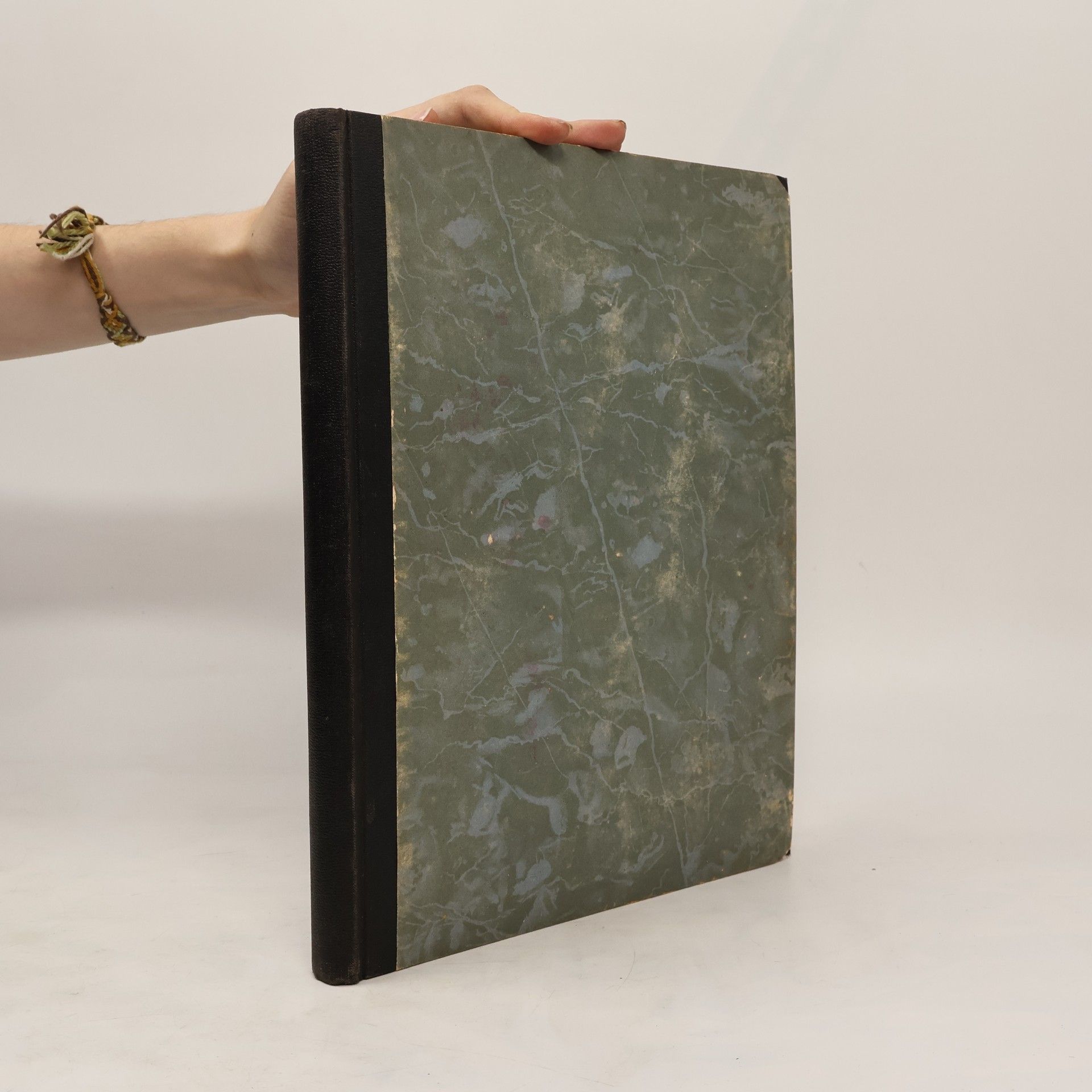 AA.VV. Schorers Familienblatt X. Band