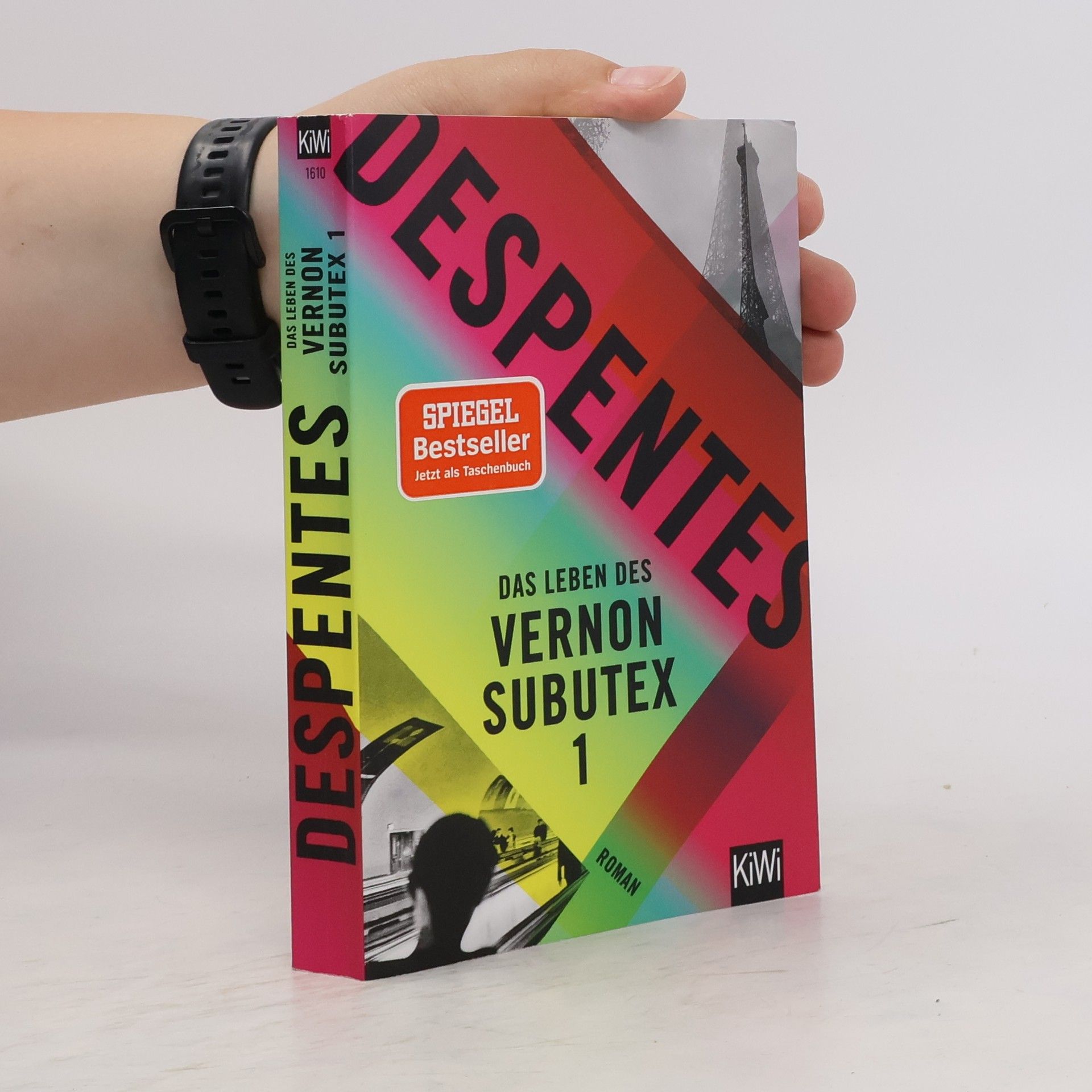 Virginie Despentes Das Leben des Vernon Subutex 1