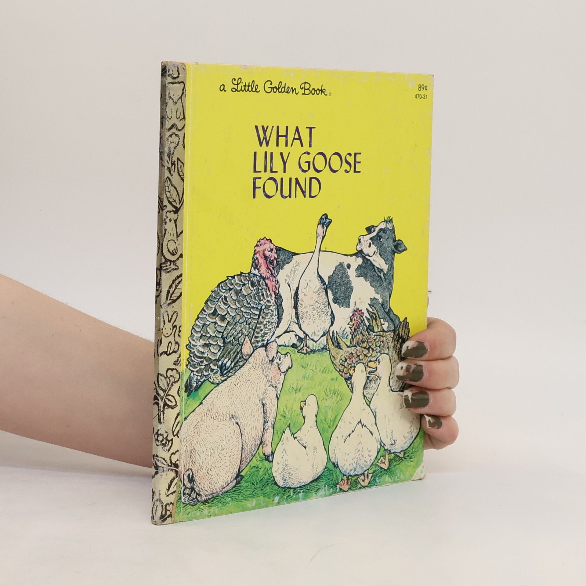 Annabelle Sumera What Lily Goose Found