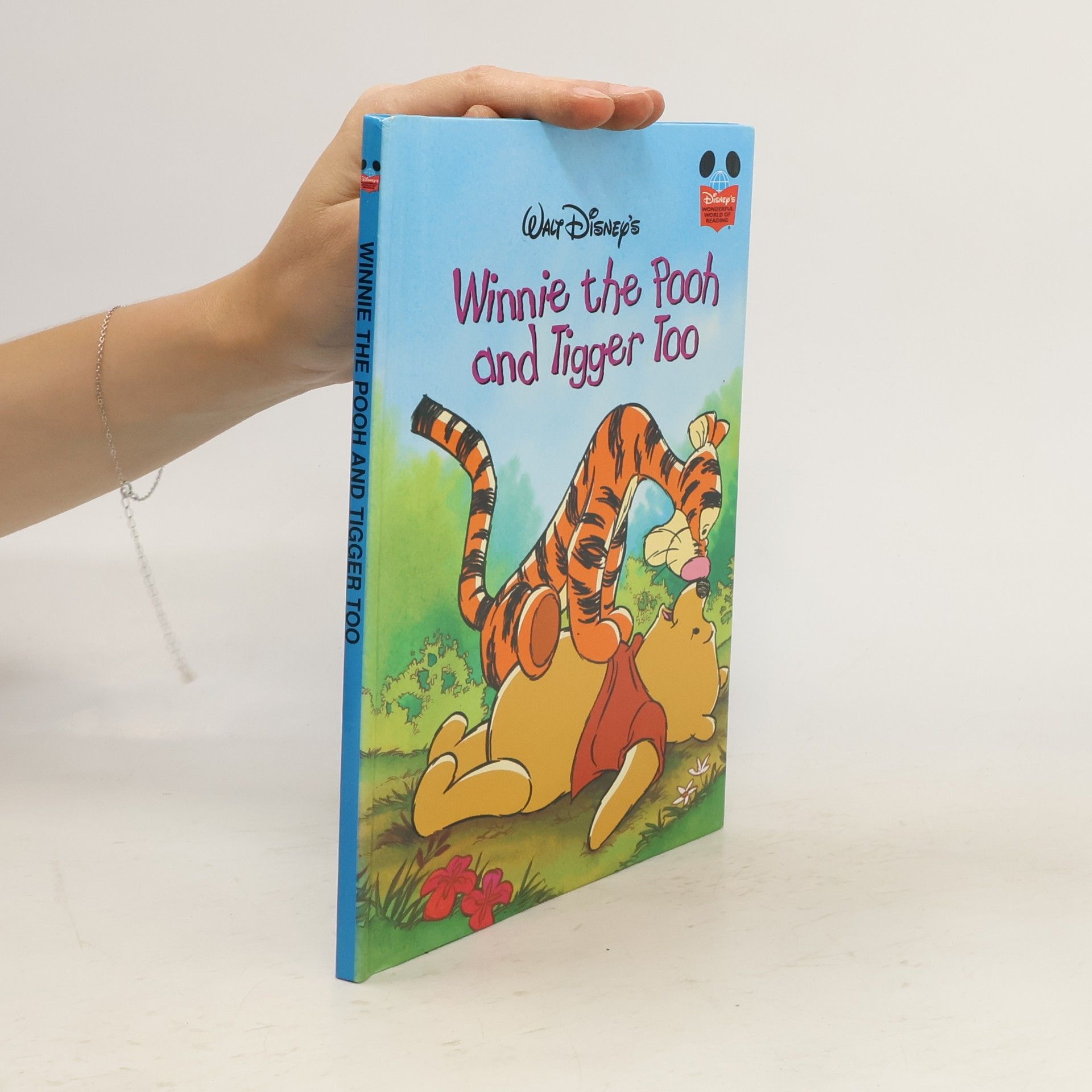Collective Winnie the Pooh and Tigger too