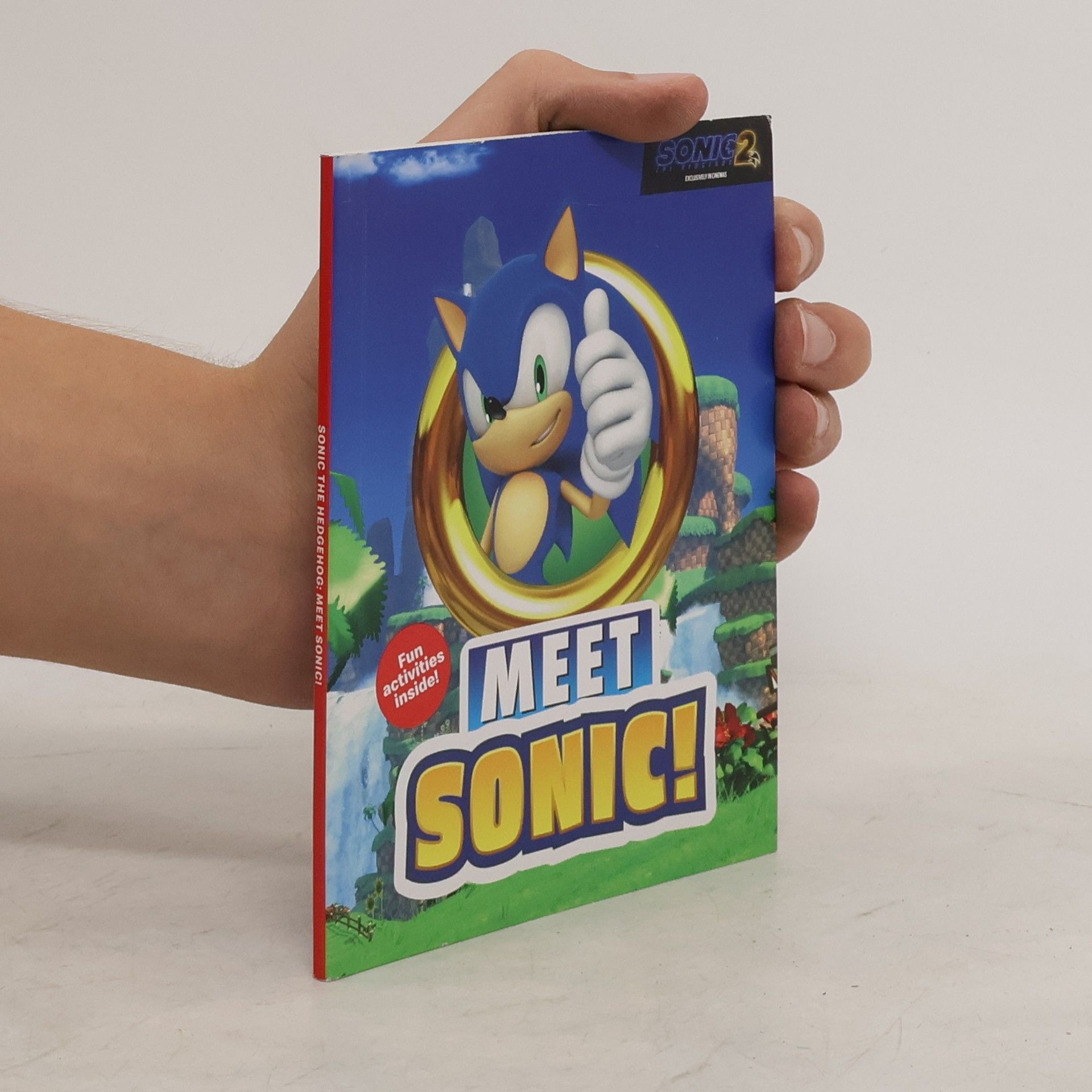 Collectif d'auteurs Meet Sonic!