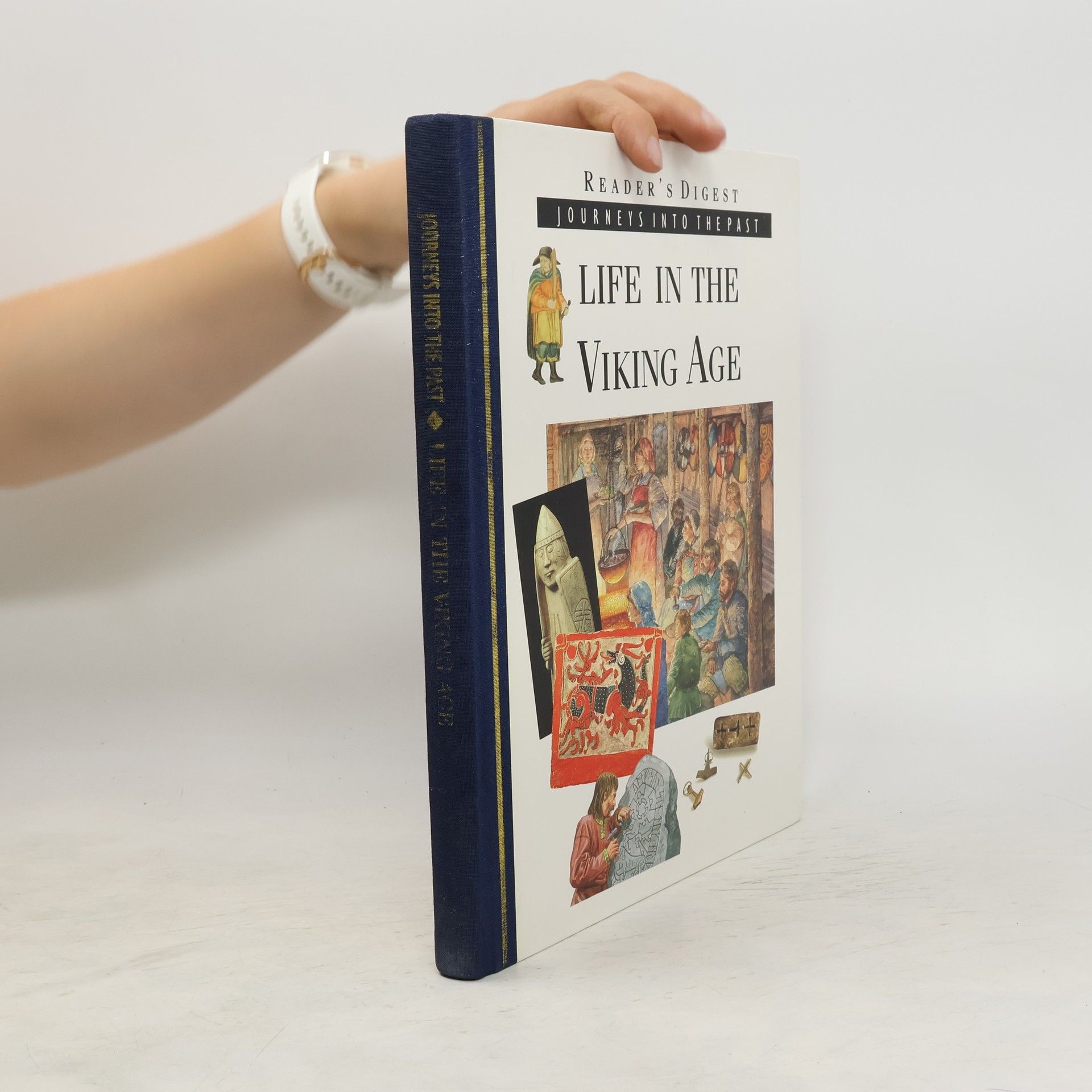 Tim Healey Life in the Viking Age