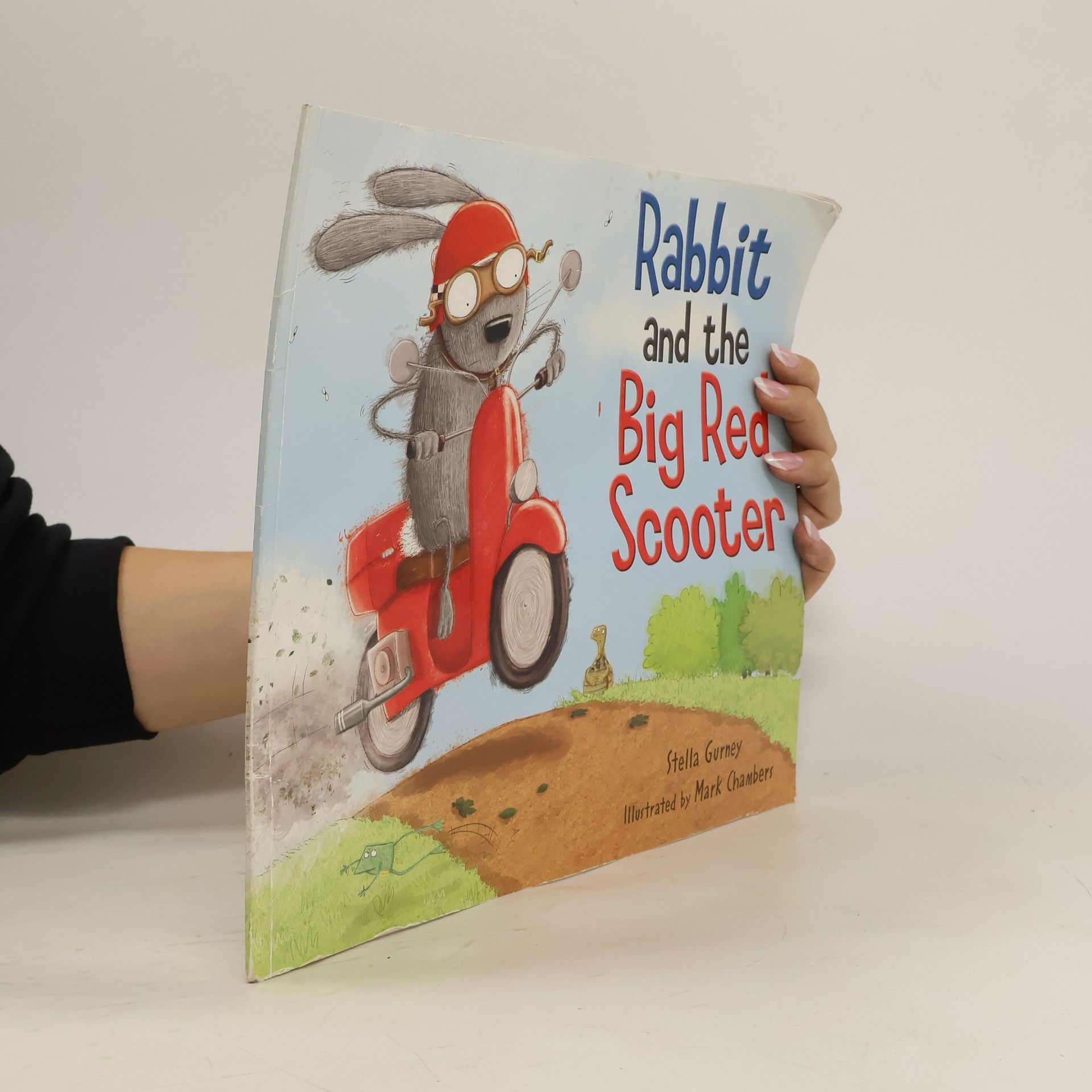Stella Gurney Rabbit and the Big Red Scooter