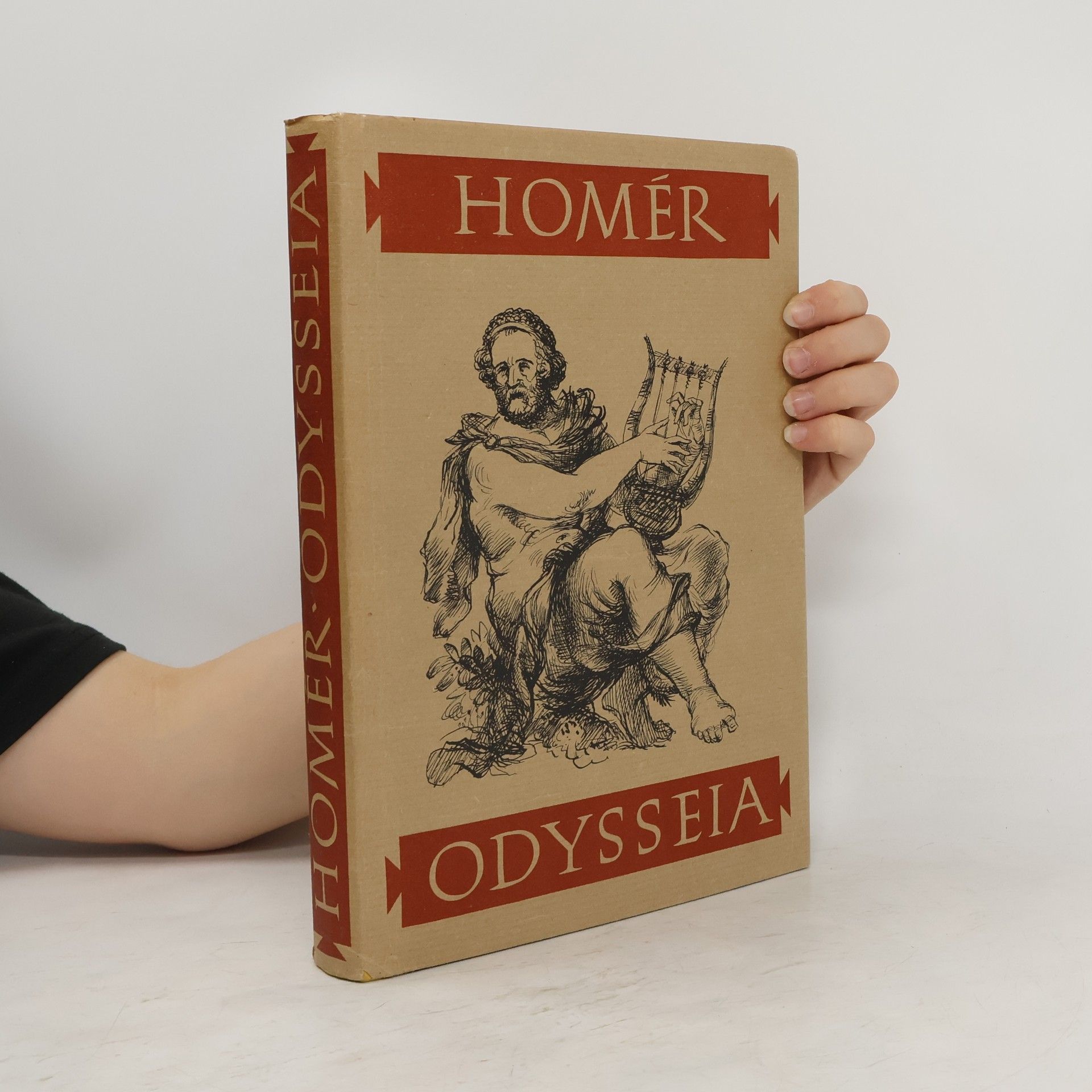 Homère Odysseia