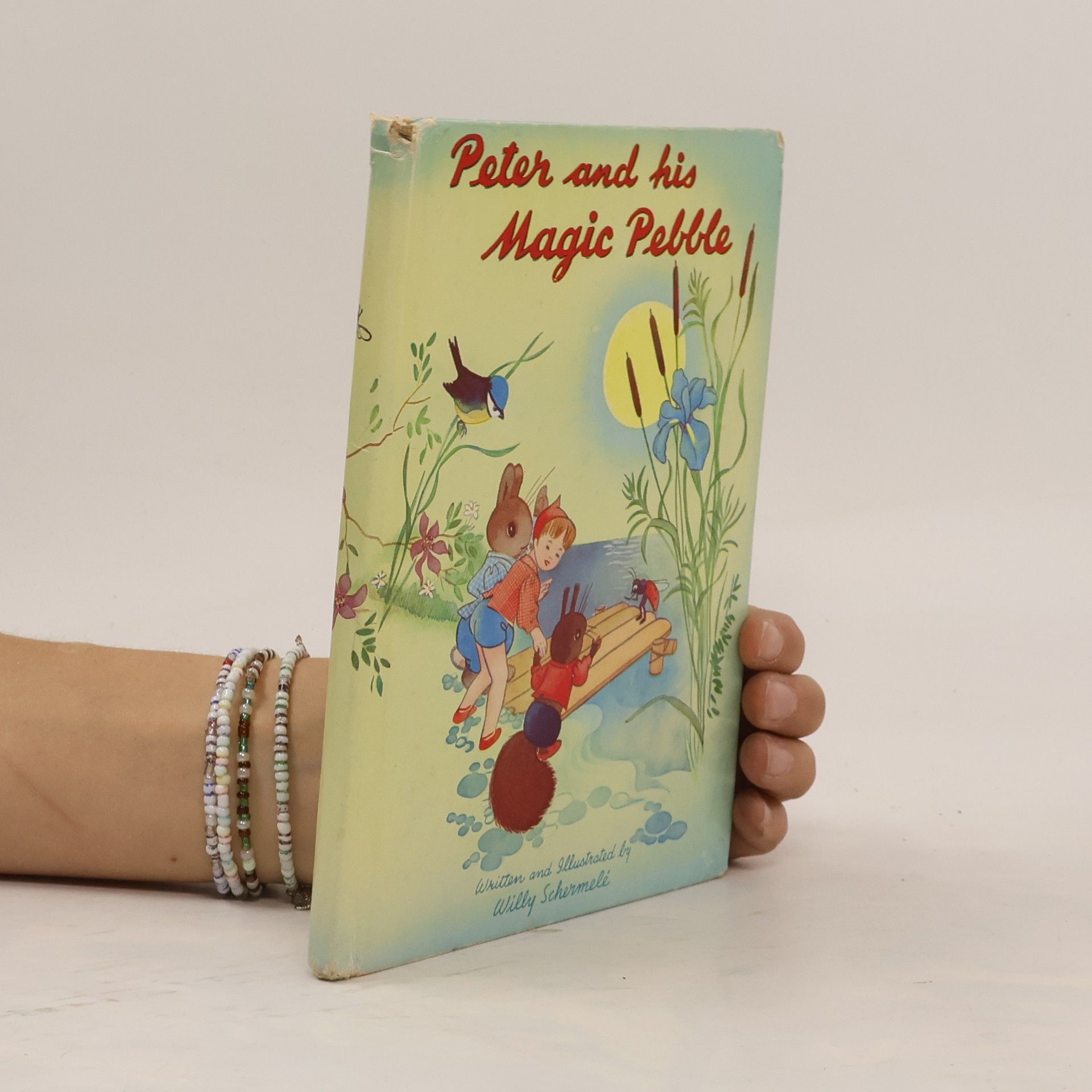 Willy Schermele Peter and his Magic Pebble