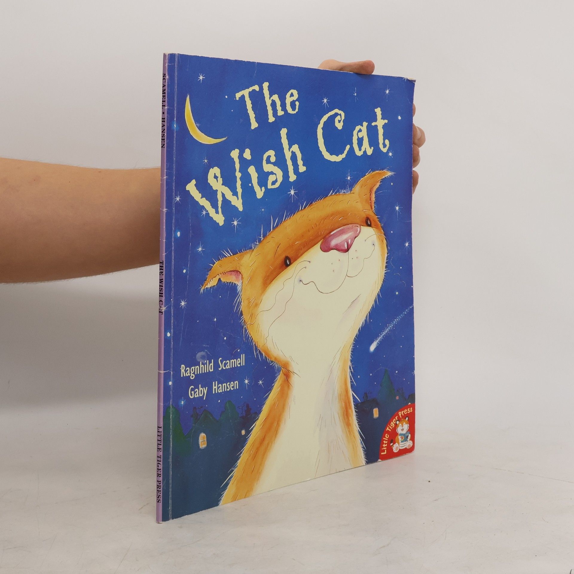 Ragnhild Scamell The Wish Cat