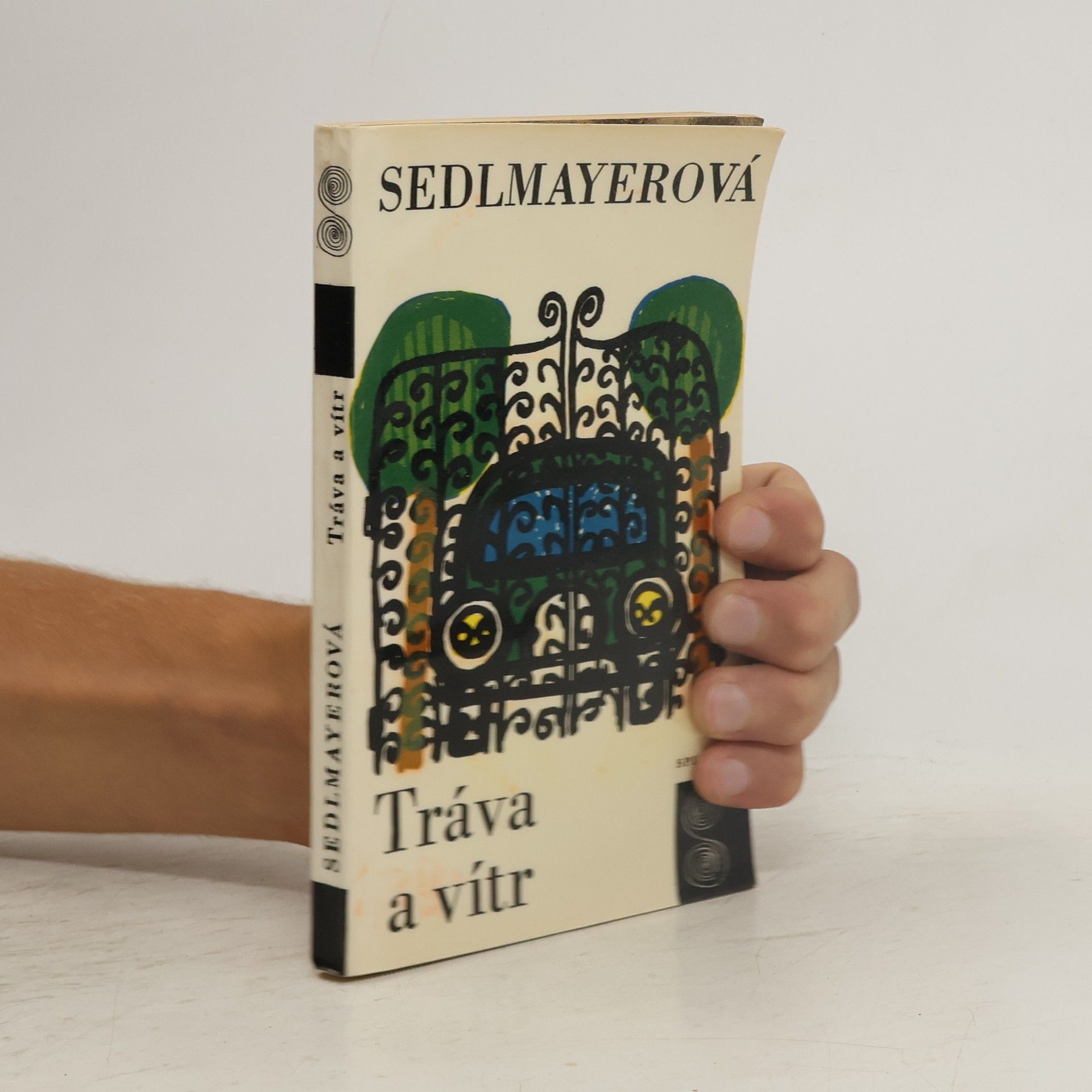 Anna Sedlmayerová Tráva a vítr