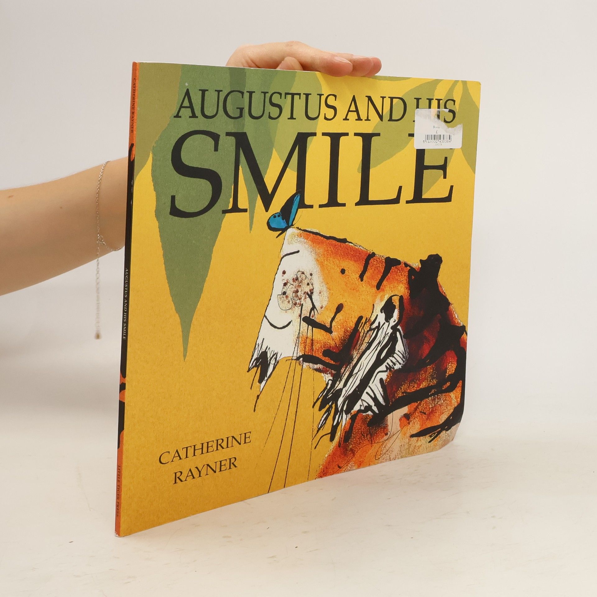 Catherine Rayner Augustus and his Smile