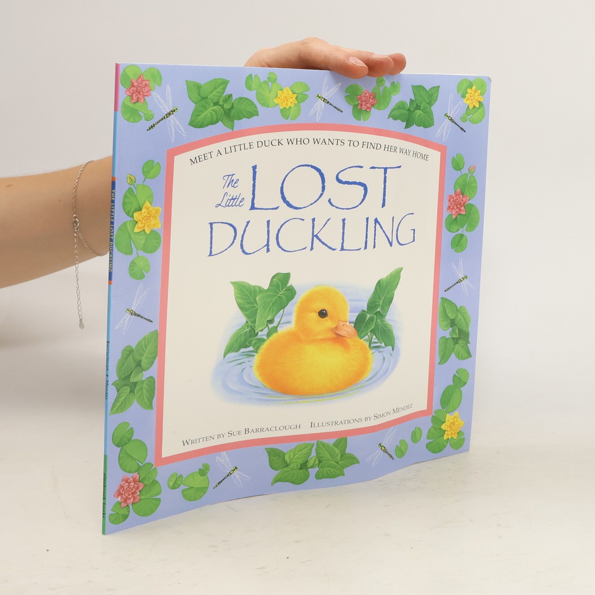 Sue Barraclough The Little Lost Duckling