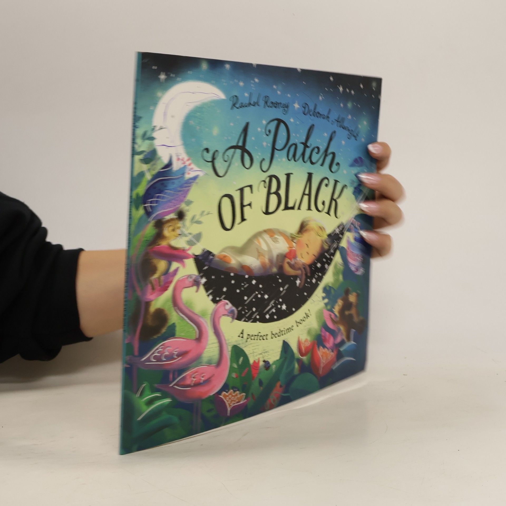 Rachel Rooney A Patch of Black