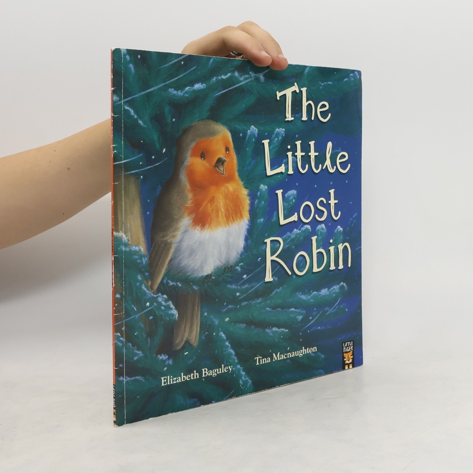 Elizabeth Baguley The Little Lost Robin