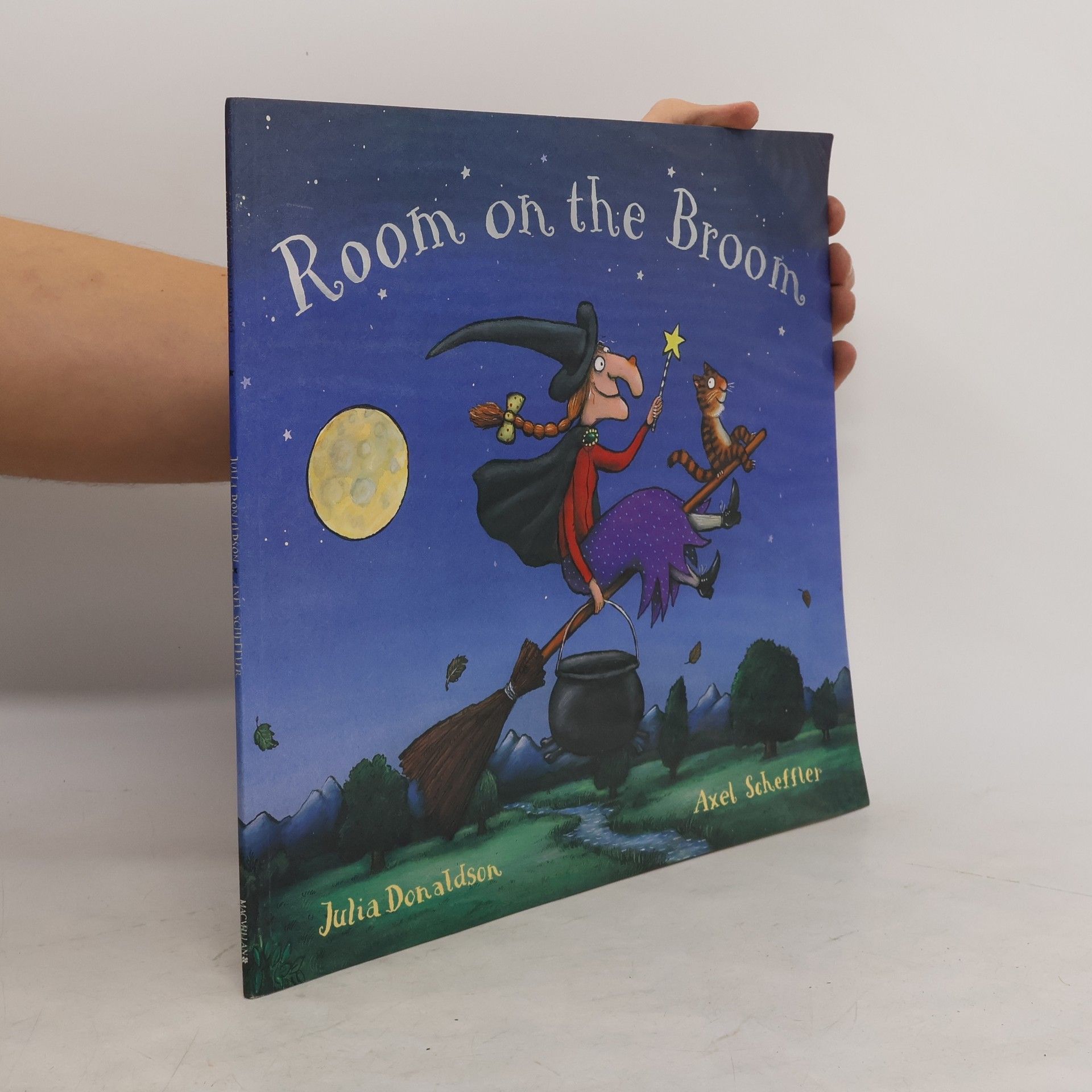 Julia Donaldson Room on the Broom