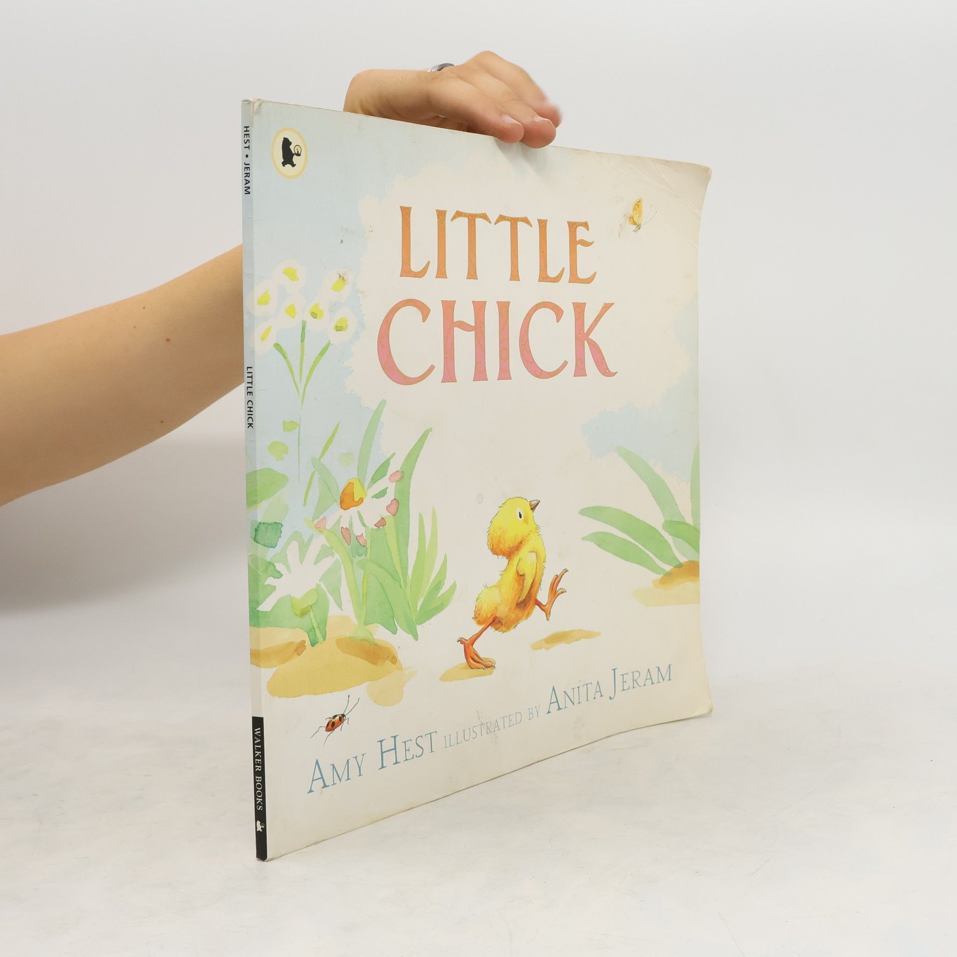 Amy Hest Little Chick