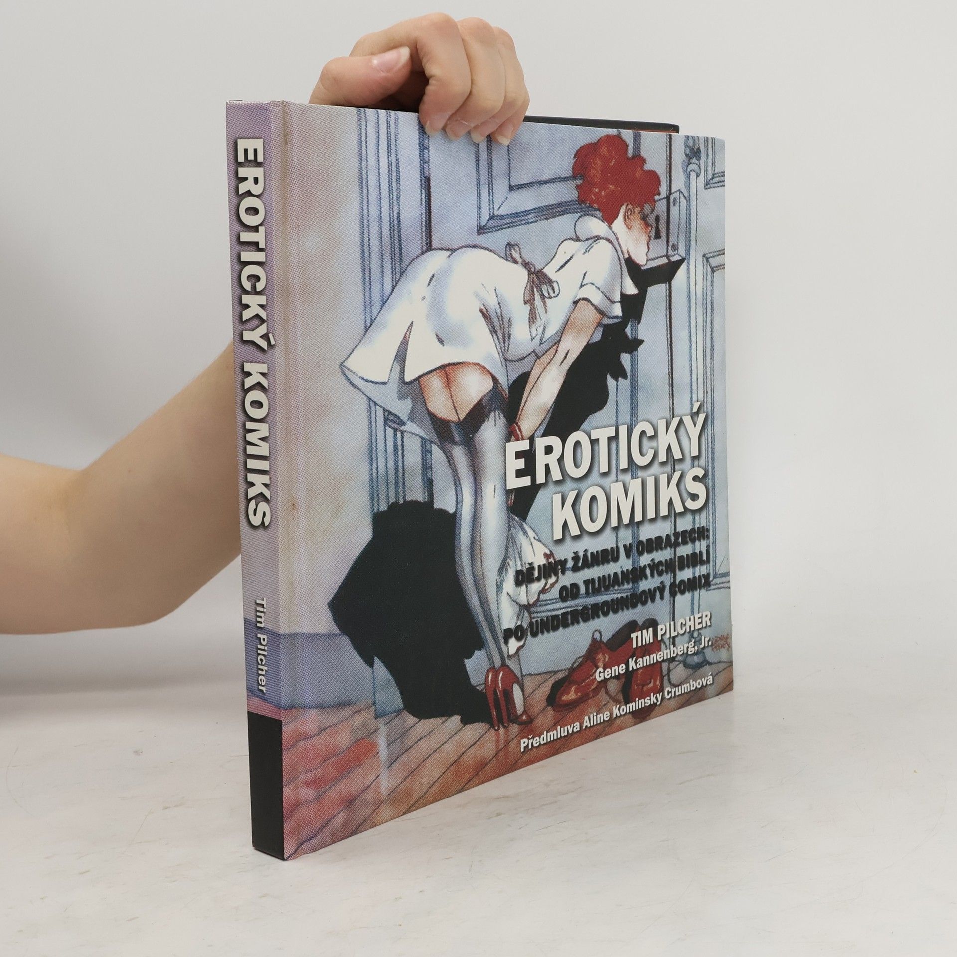 Tim Pilcher Erotický komiks: Dějiny žánru v obrazech