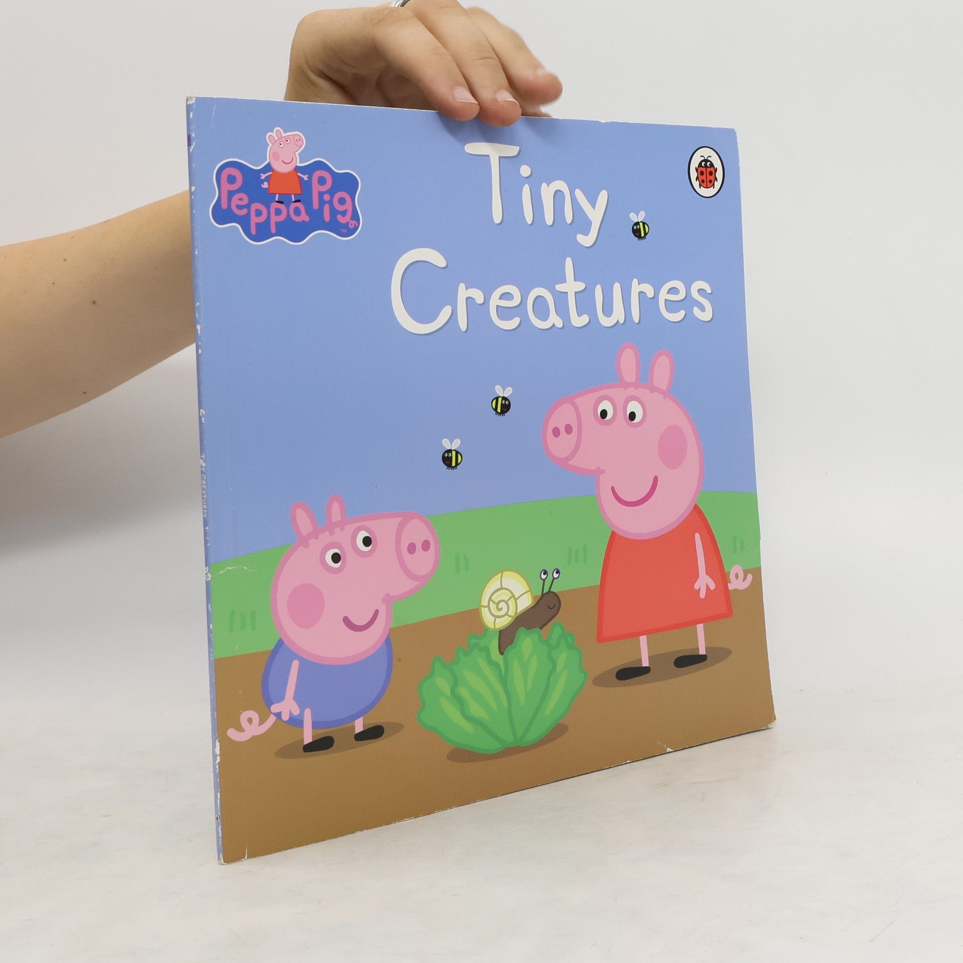 Neville Astley Tiny Creatures