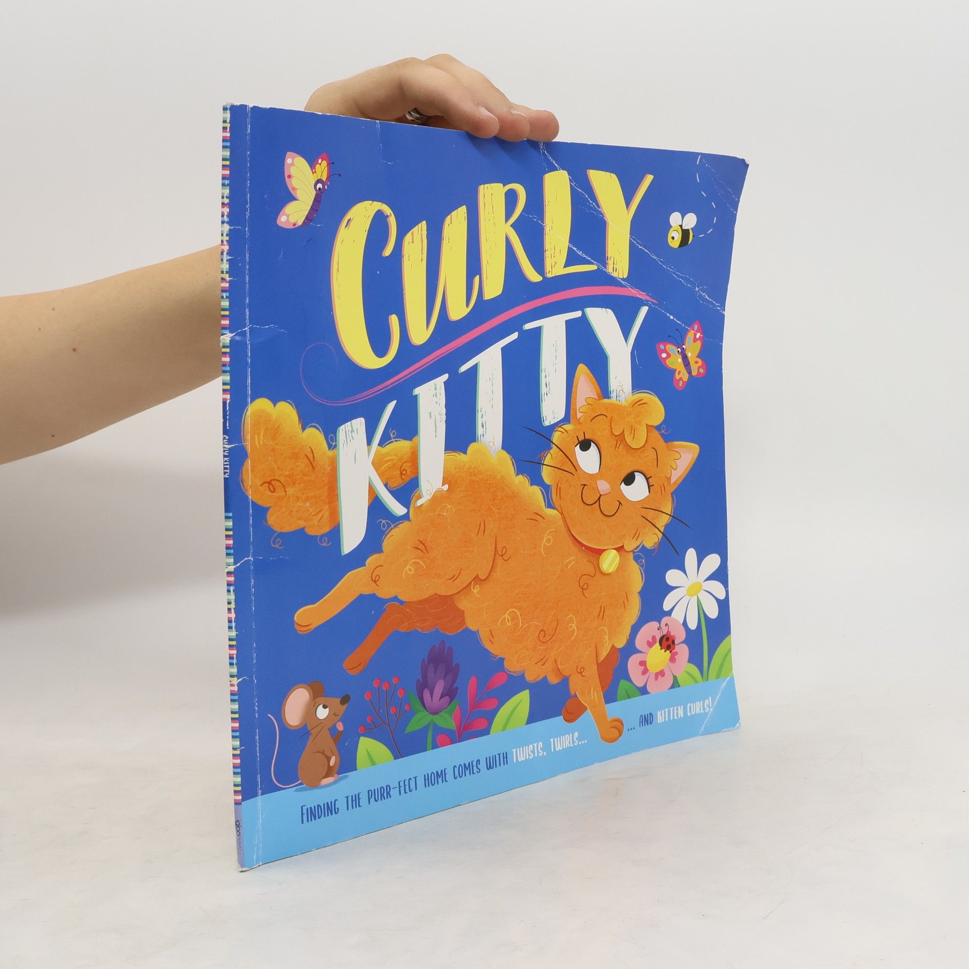 Stephanie Moss Curly Kitty