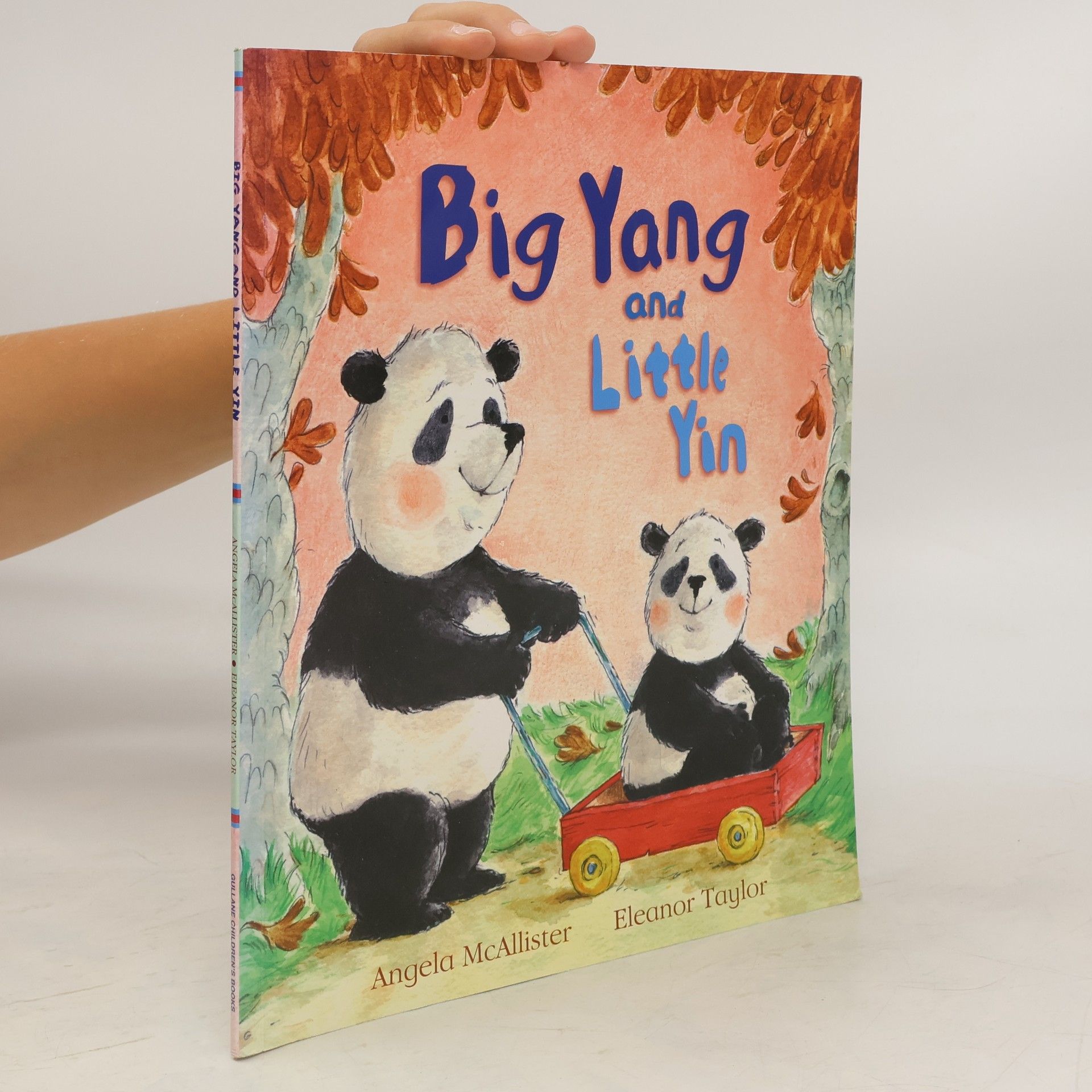 Angela McAllister Big Yang and Little Yin