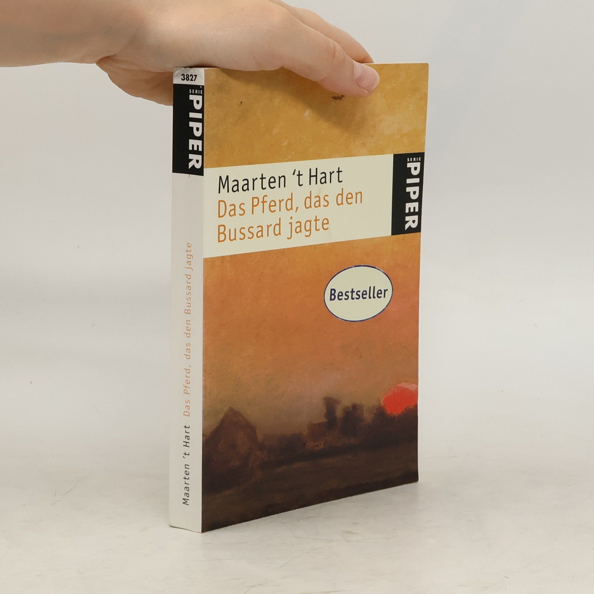 Maarten t. Hart Das Pferd, das den Bussard jagte
