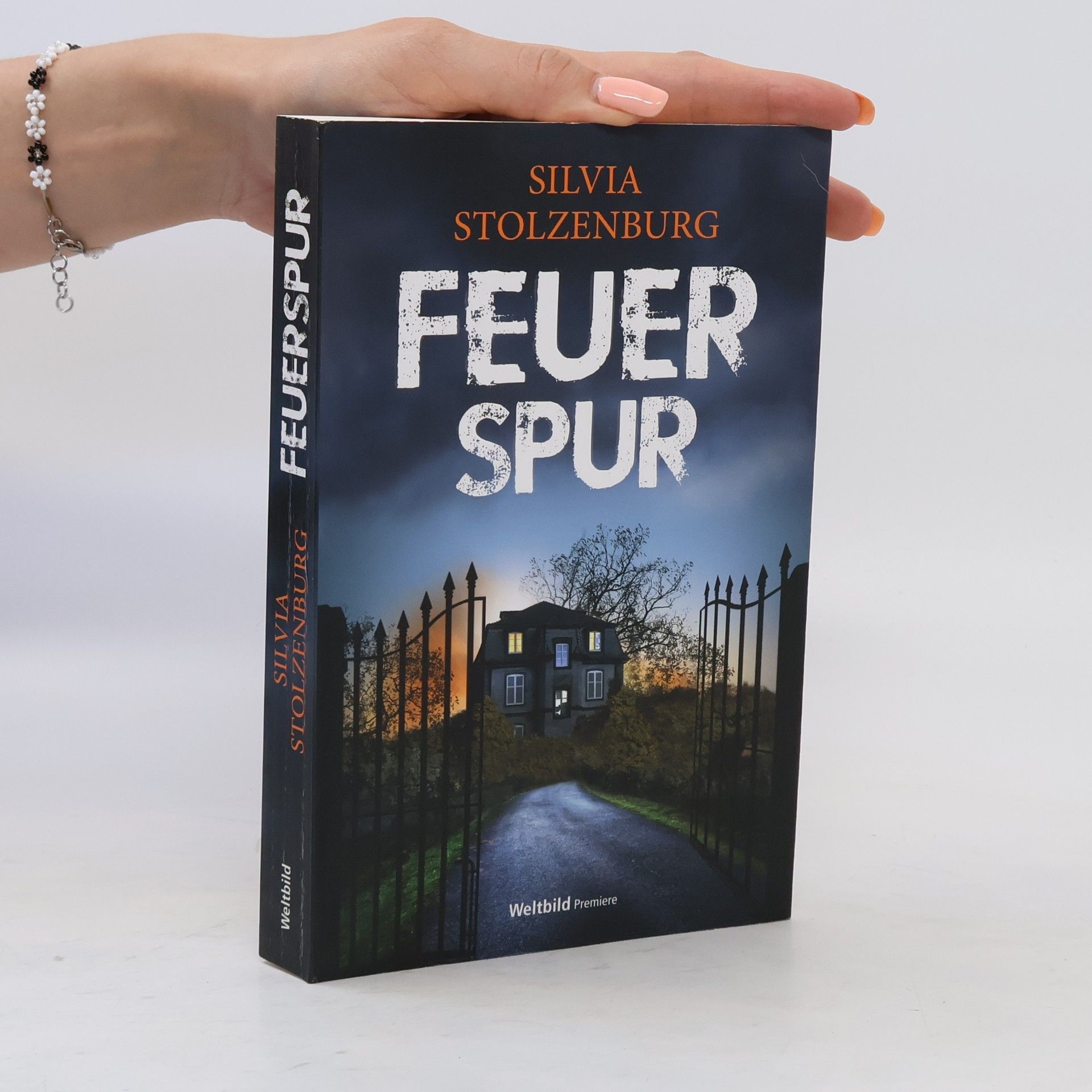 Silvia Stolzenburg Feuerspur