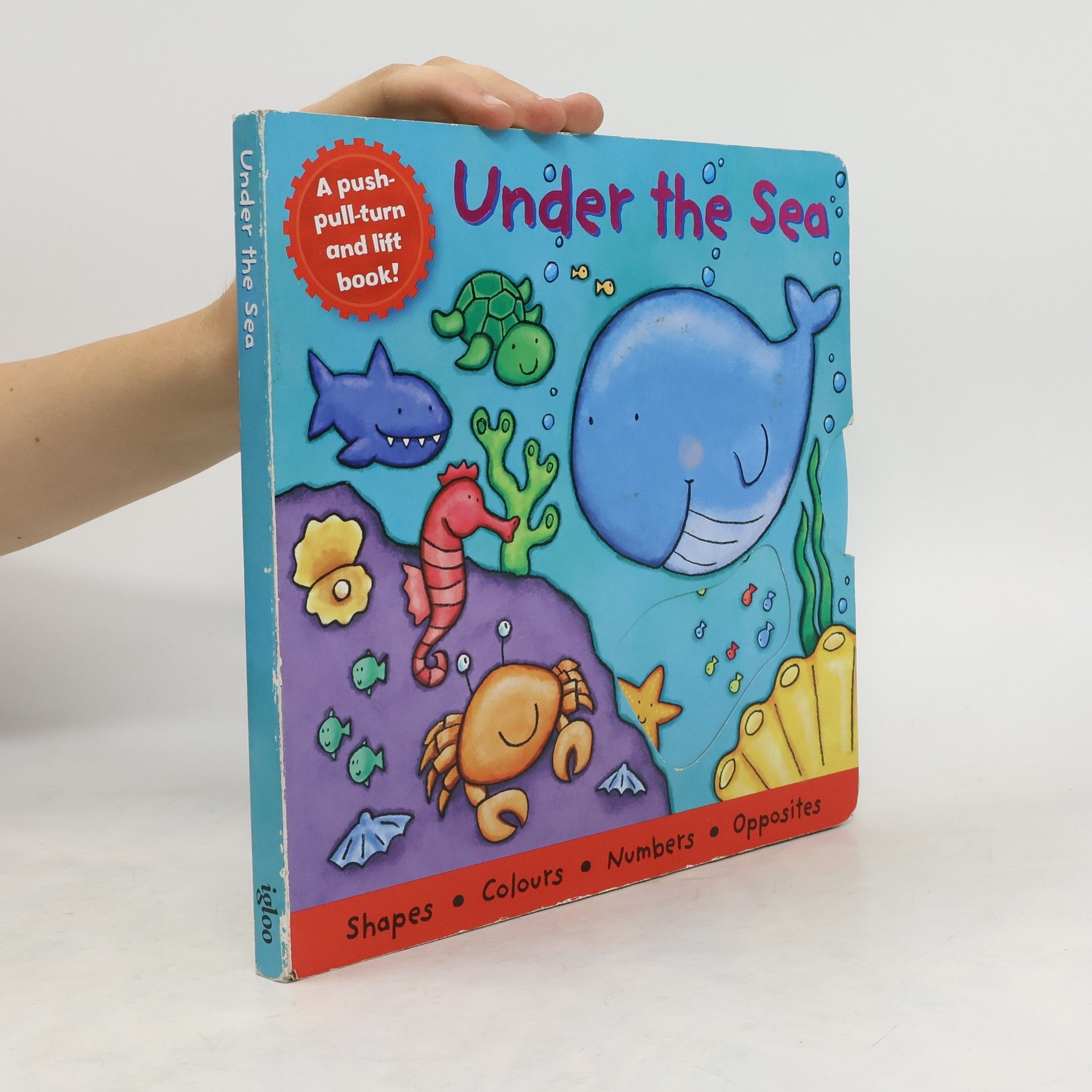 Kait Eaton Under the Sea
