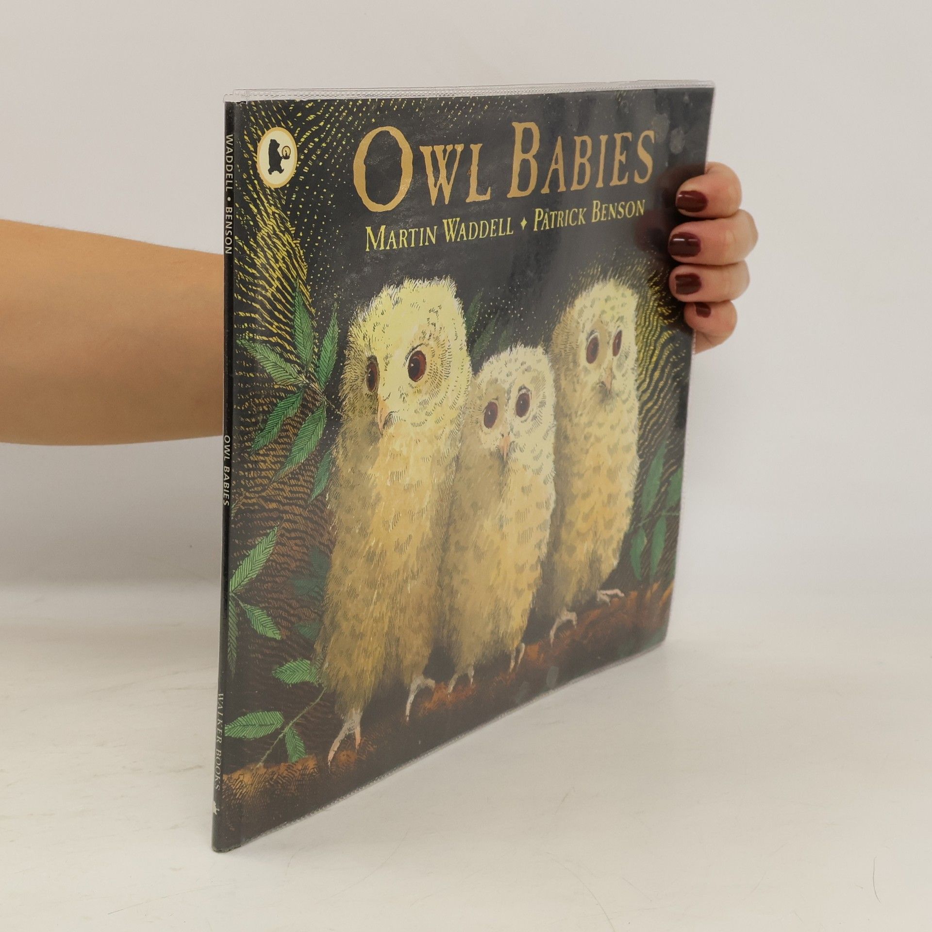 Martin Waddell Owl babies
